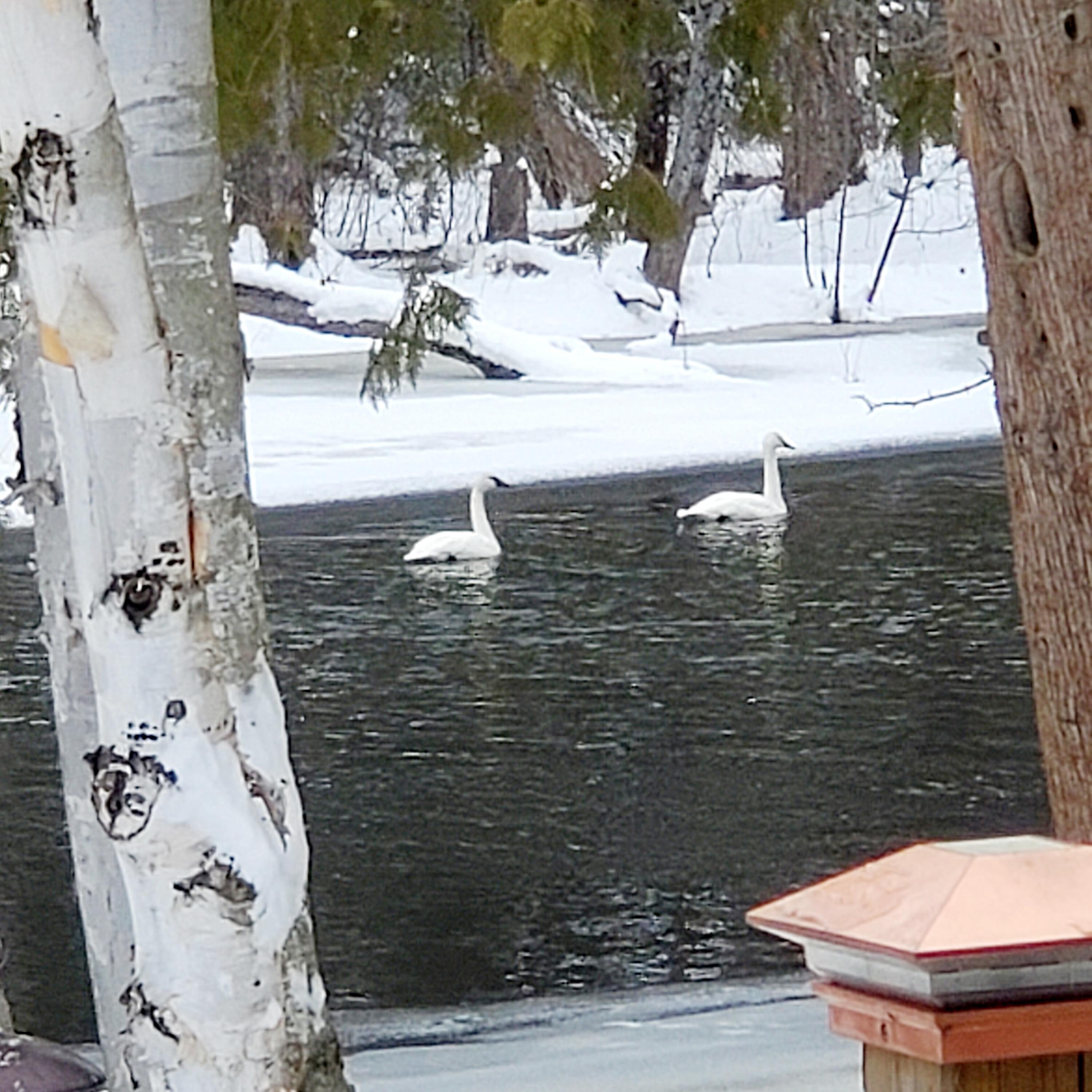 4700 Indian Reserve Road