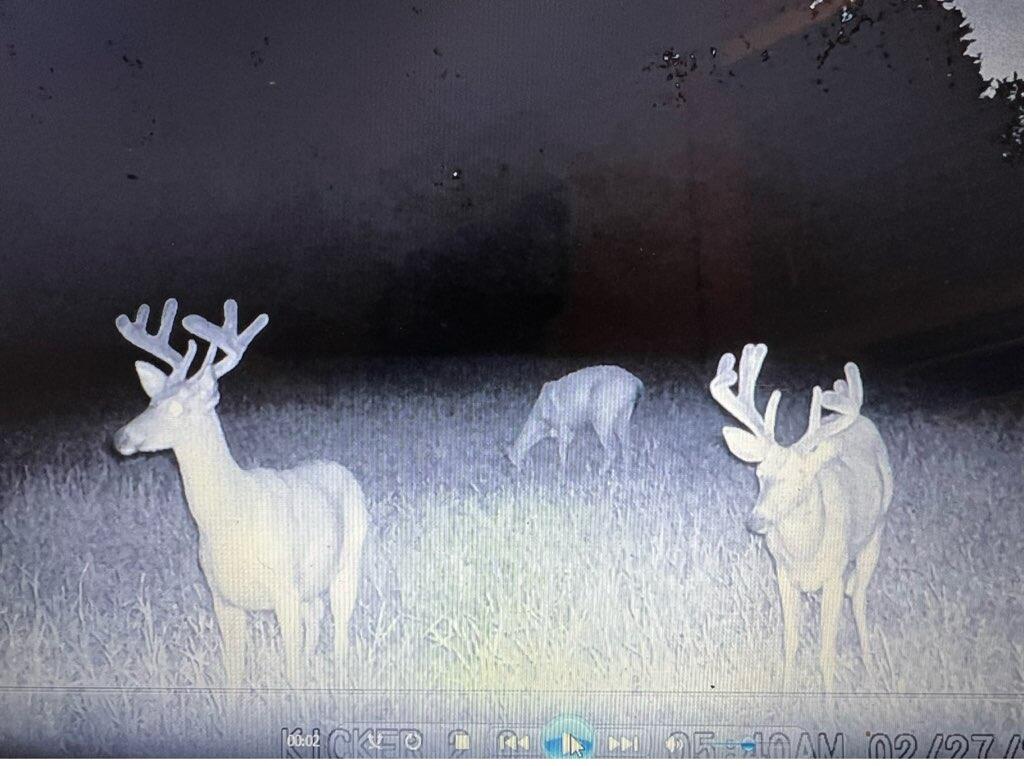 23261 Anchor Lake Road