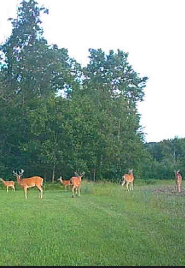 23261 Anchor Lake Road