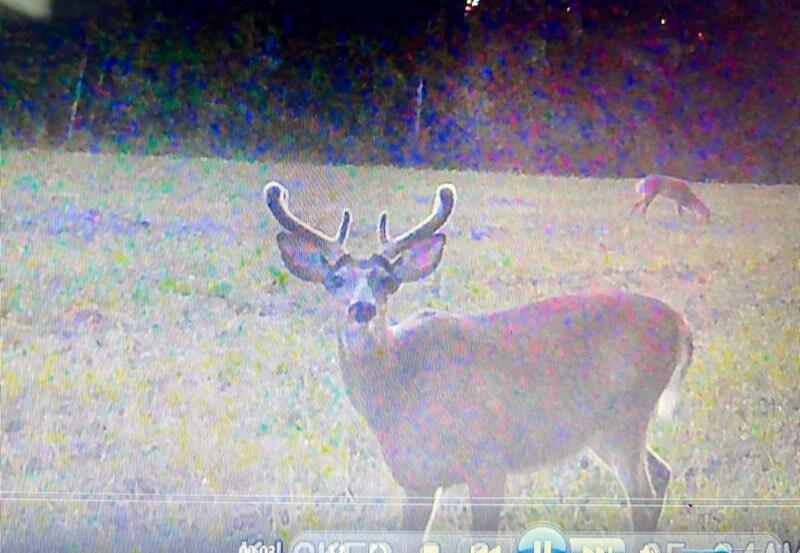 23261 Anchor Lake Road