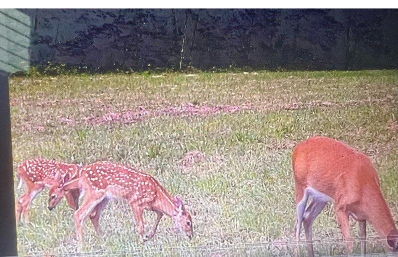 23261 Anchor Lake Road