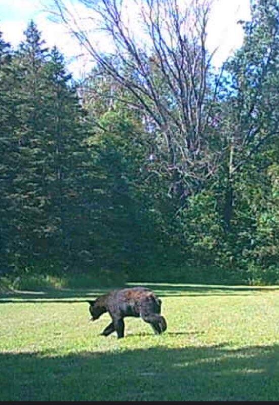 23261 Anchor Lake Road