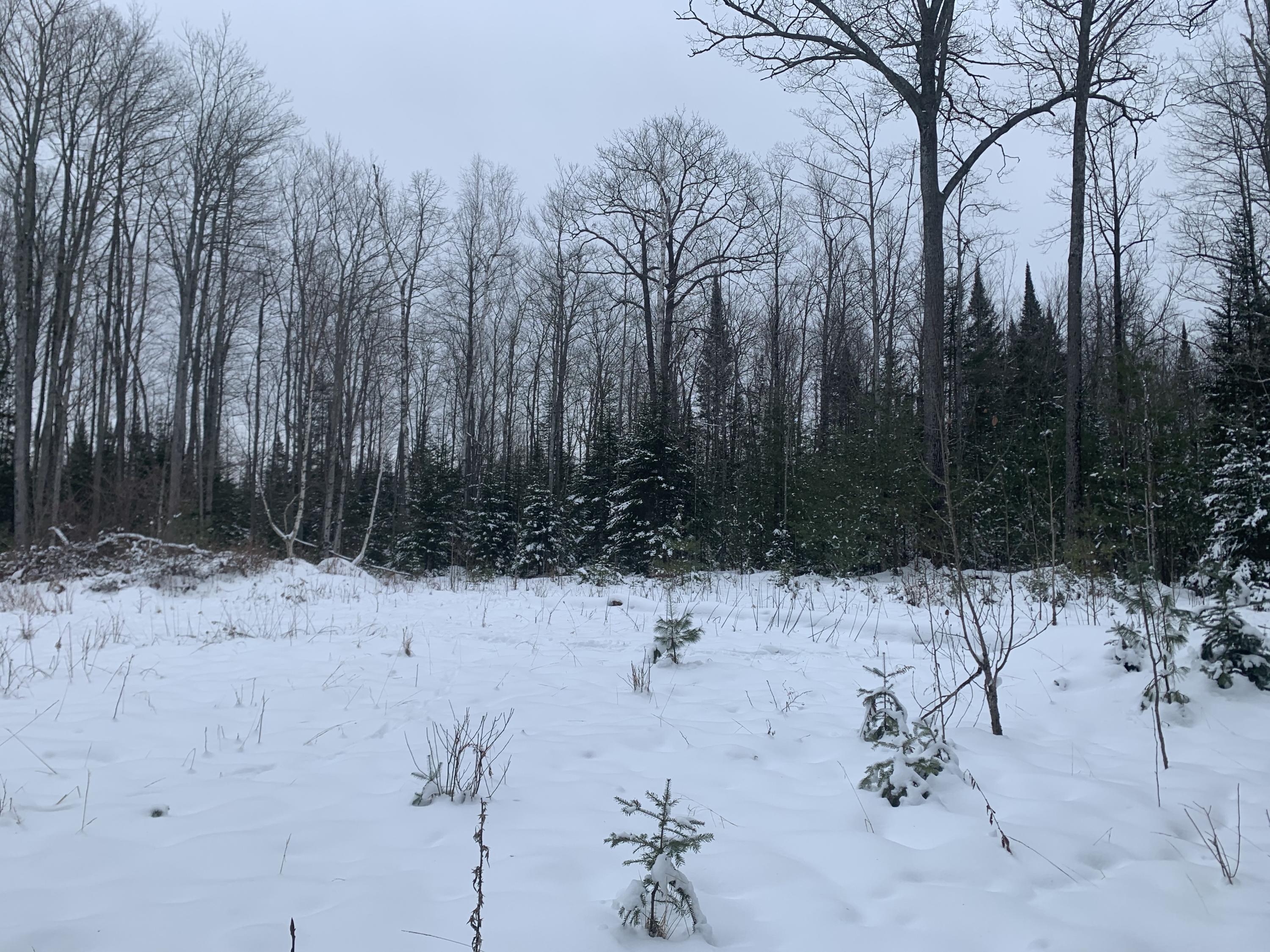 20545 N County Rd 459