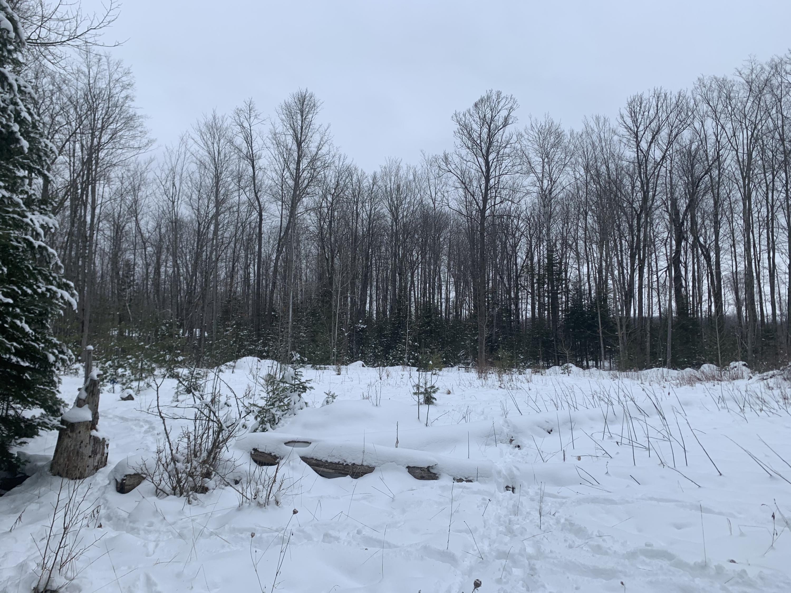 20545 N County Rd 459