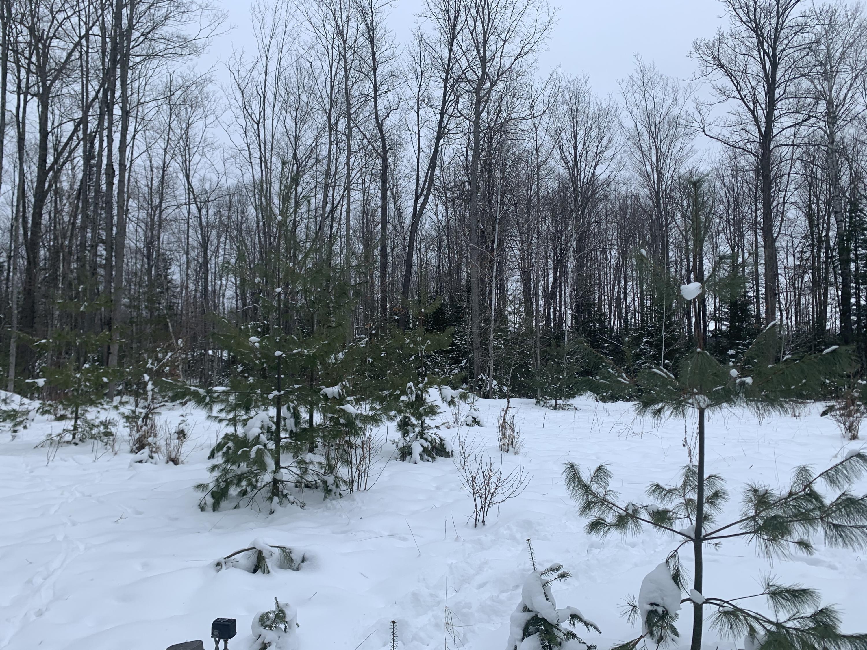 20545 N County Rd 459