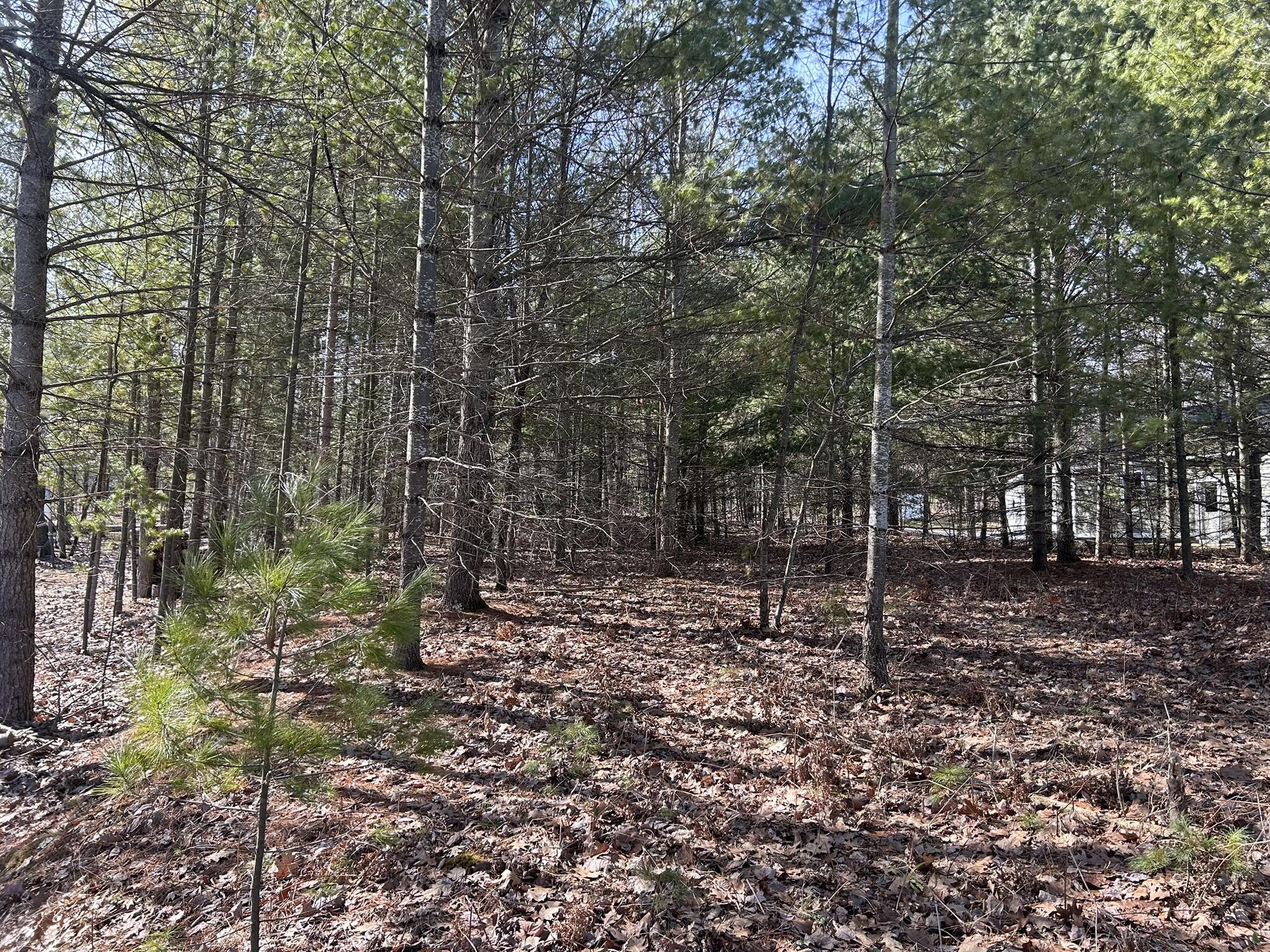 Long Lake Road, Lot 9