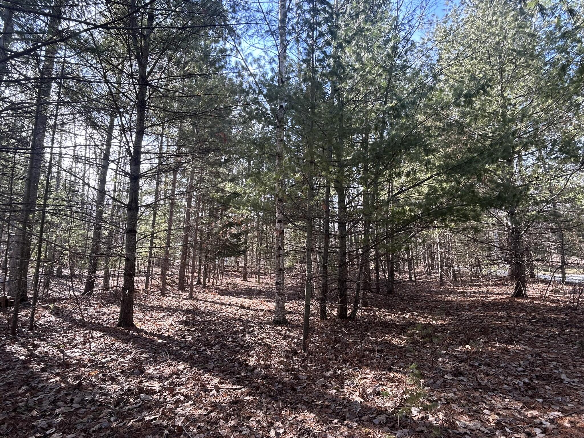 Long Lake Road, Lot 9