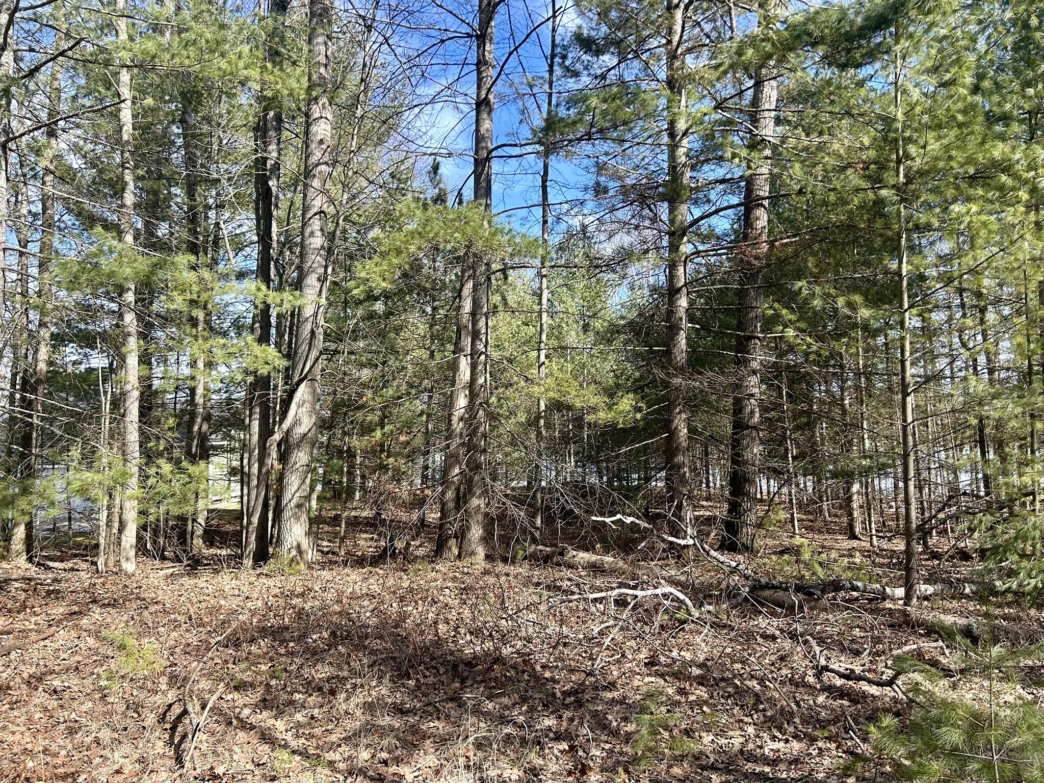 Long Lake Road, Lot 9