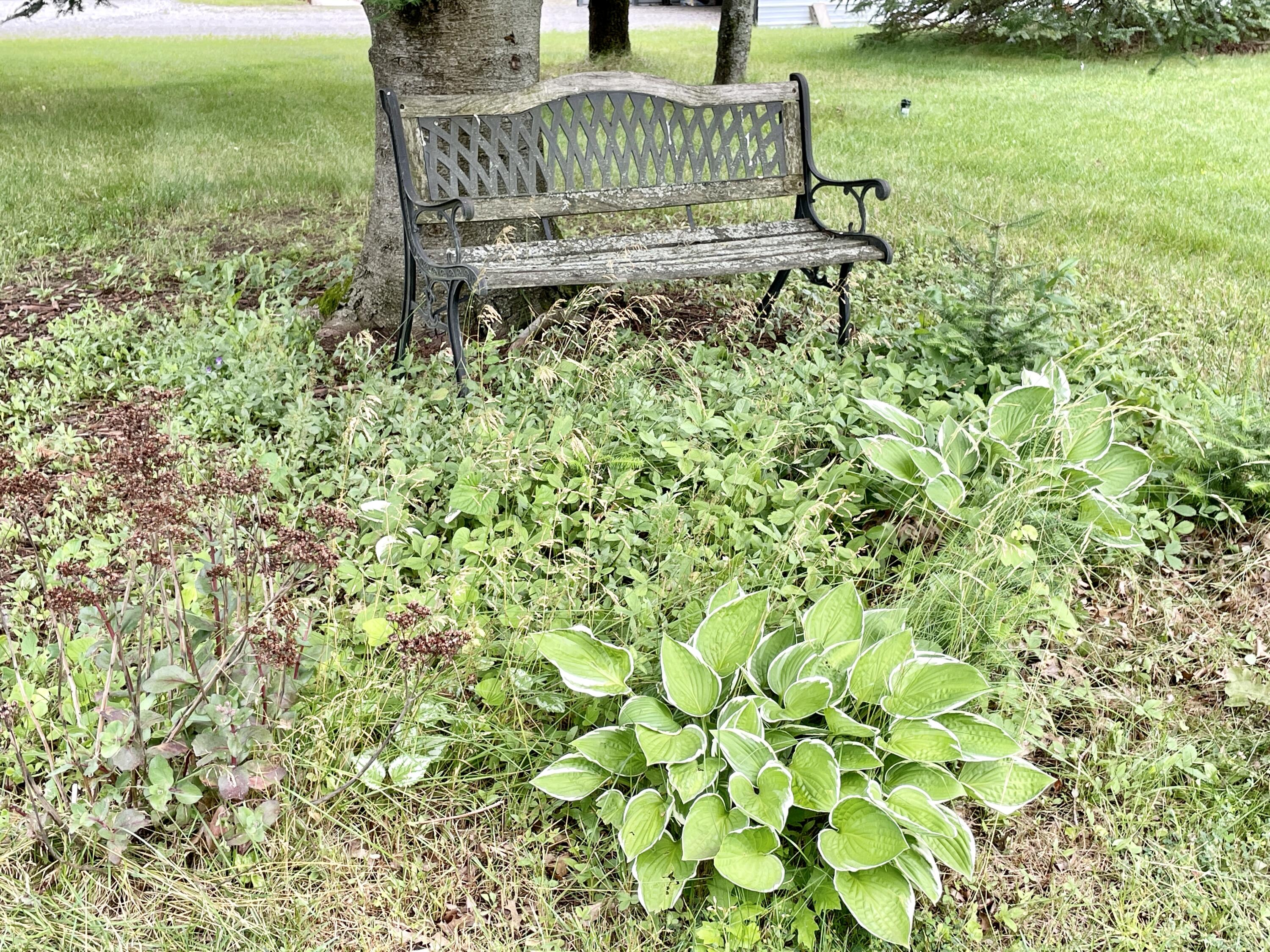 6790 Big Wolf Lake Road