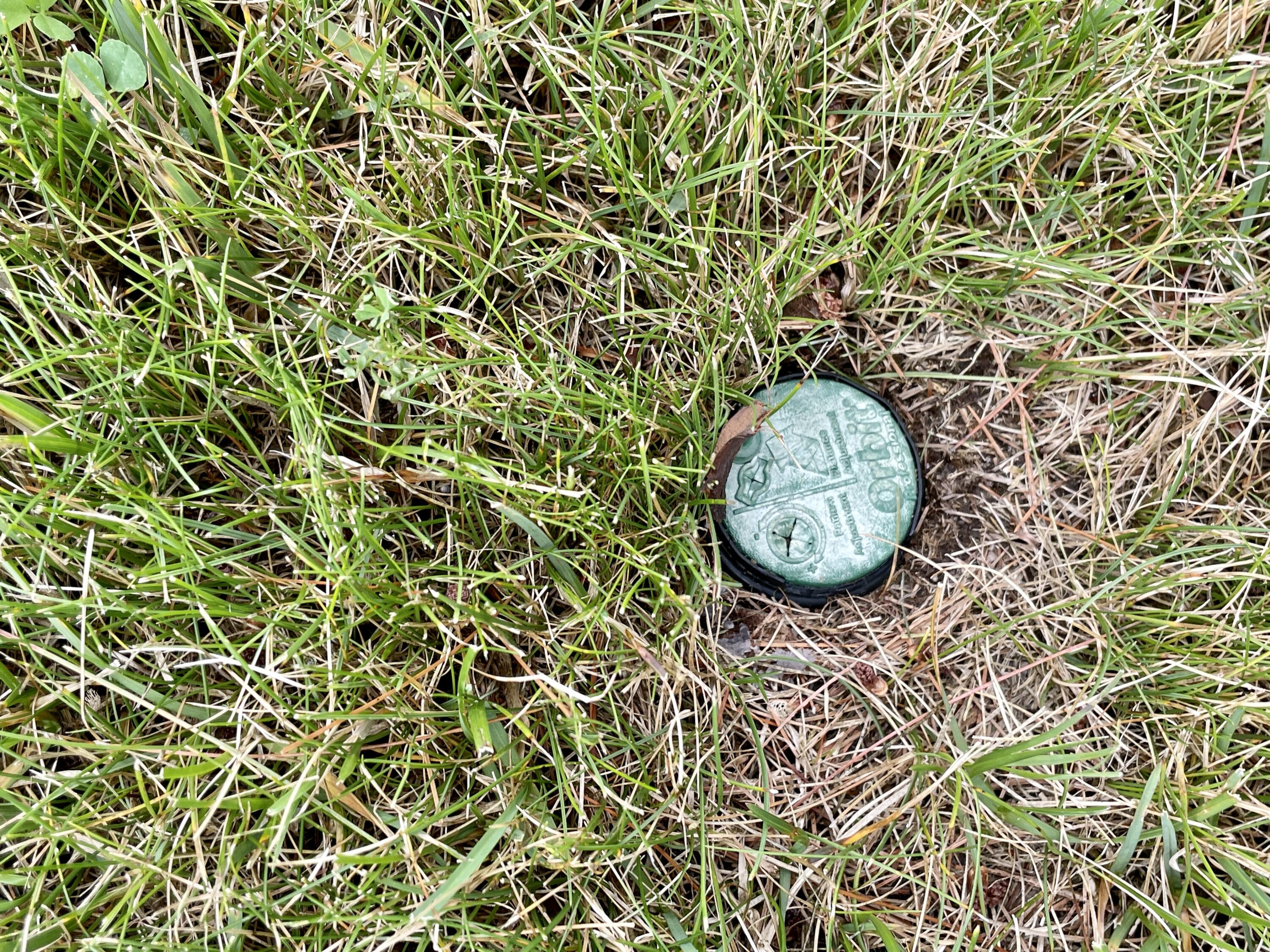 6790 Big Wolf Lake Road