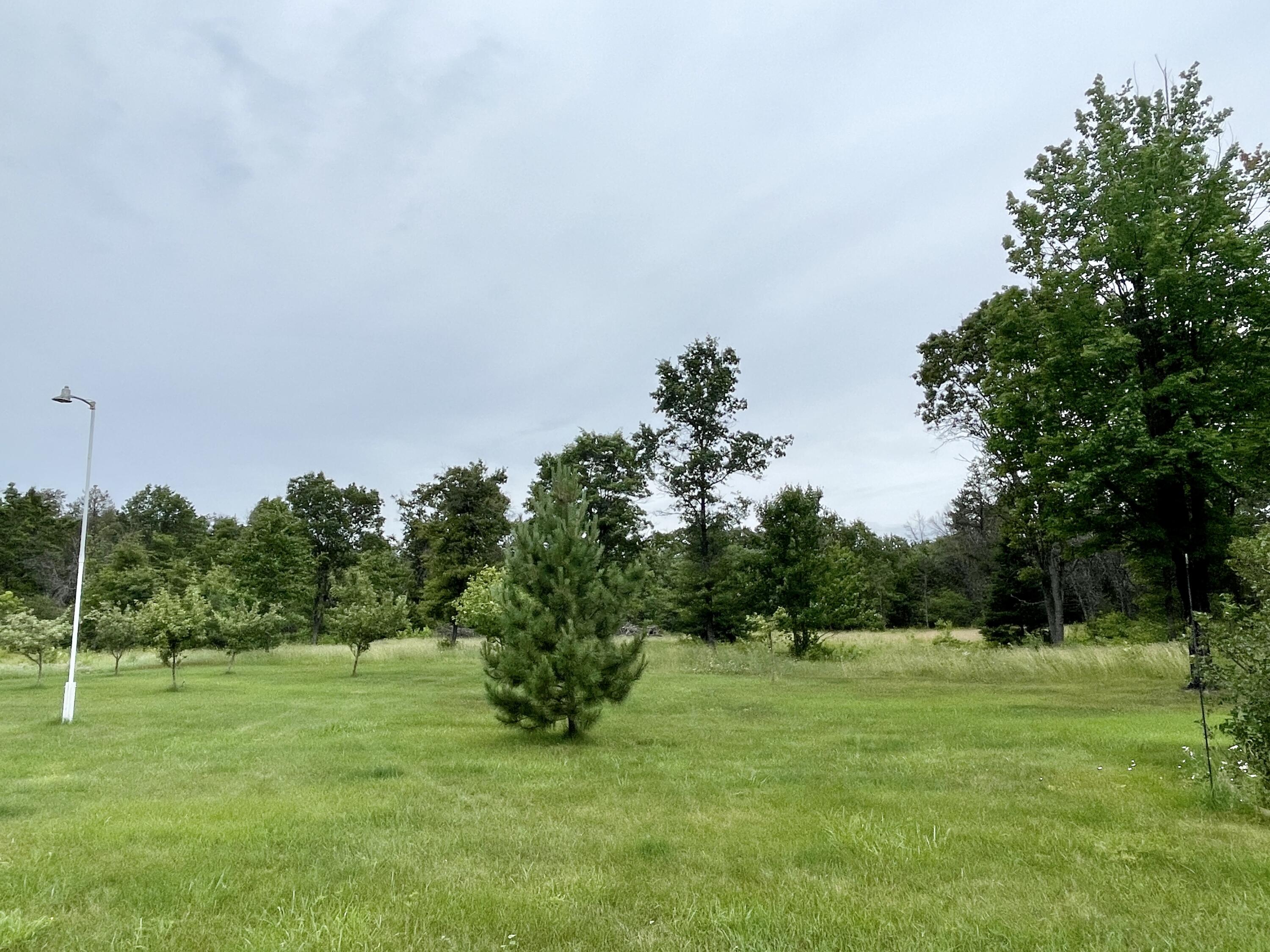 6790 Big Wolf Lake Road