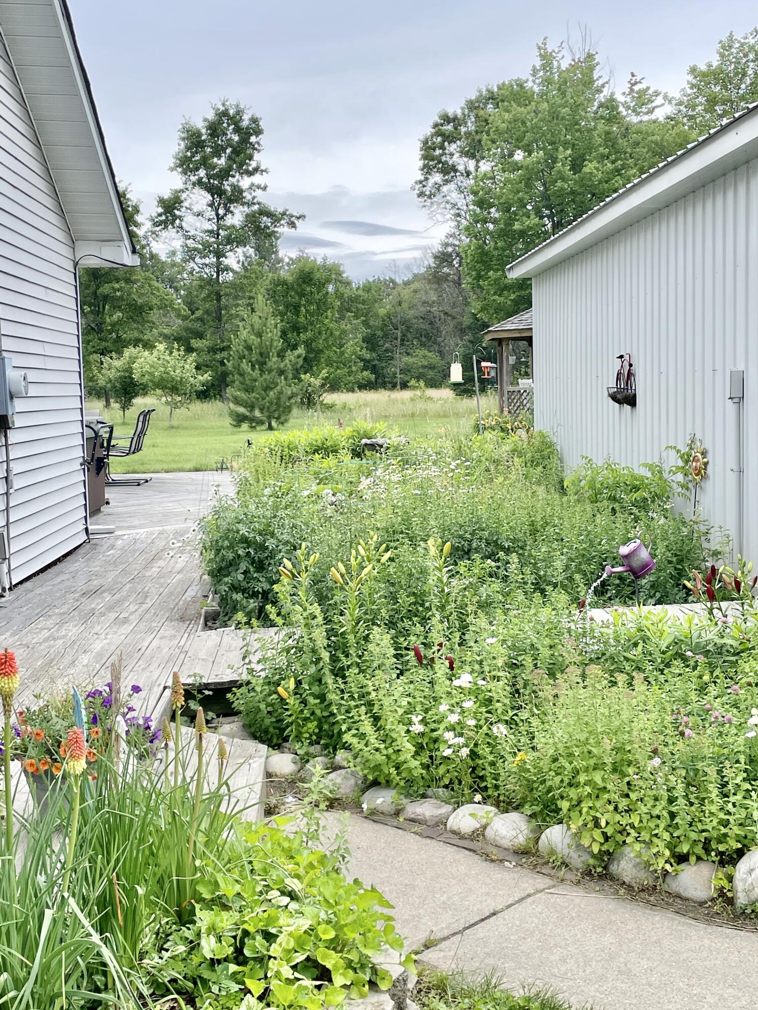 6790 Big Wolf Lake Road