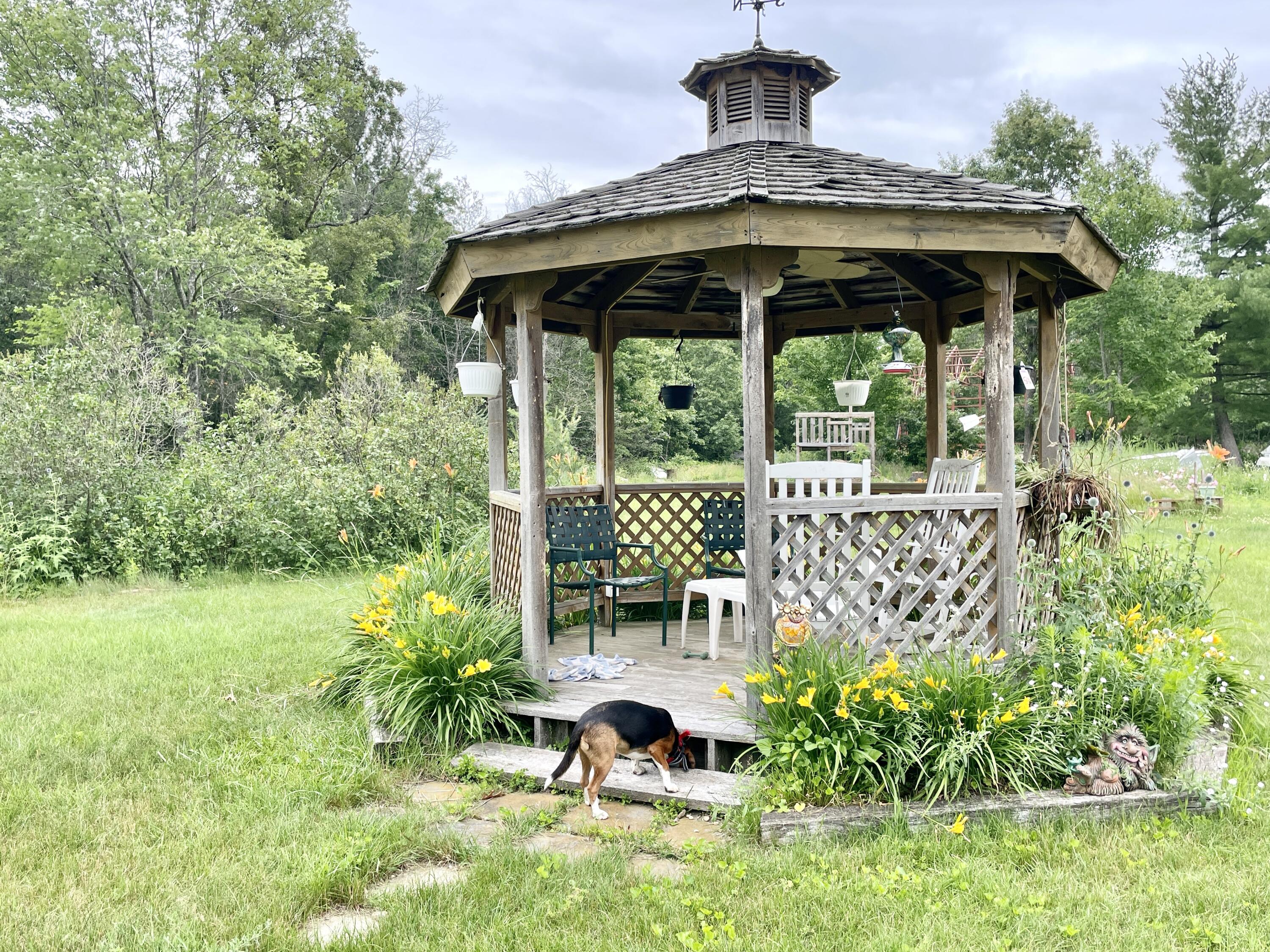 6790 Big Wolf Lake Road