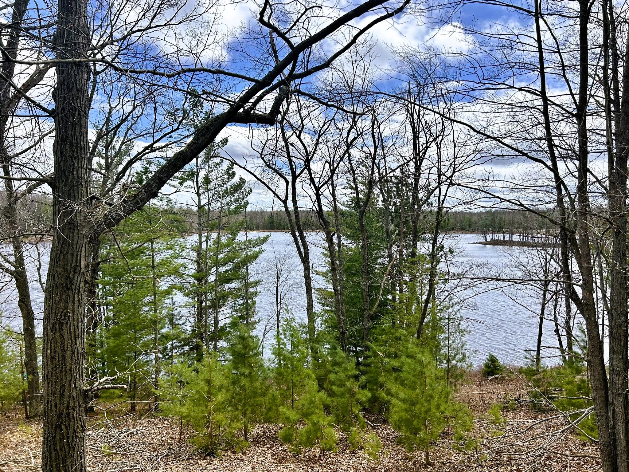 19831 Horseshoe Lake Drive