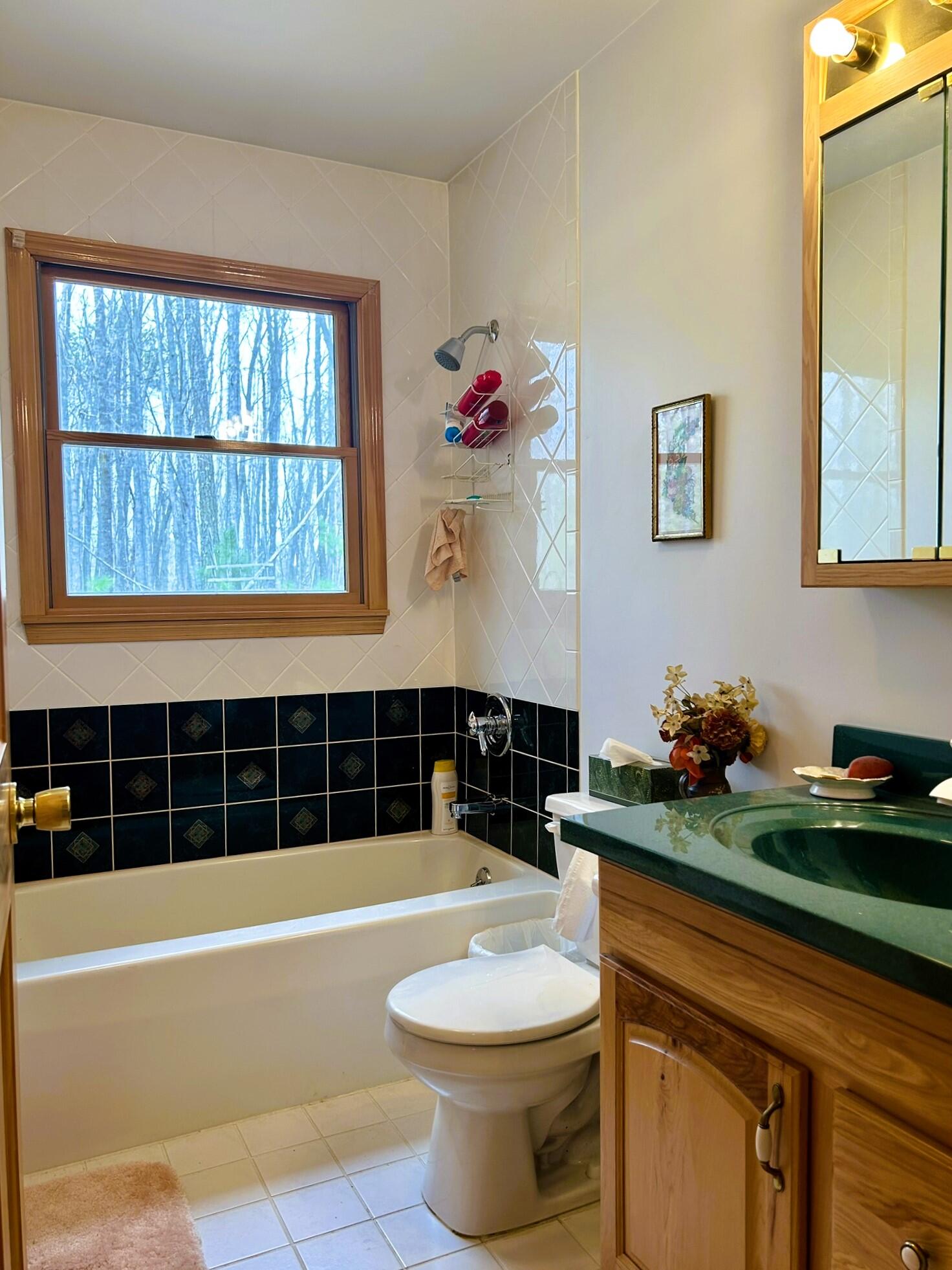 19831 Horseshoe Lake Drive