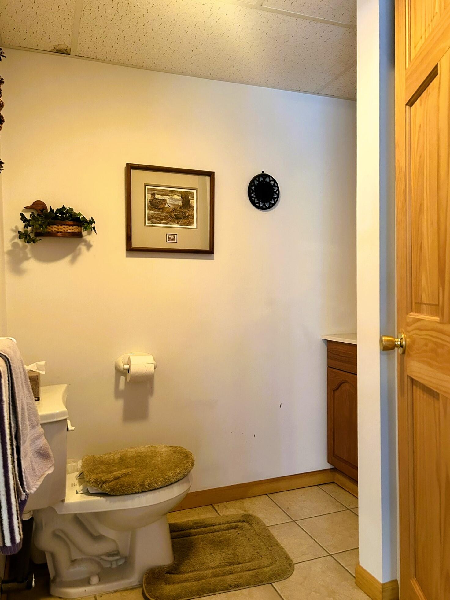 19831 Horseshoe Lake Drive