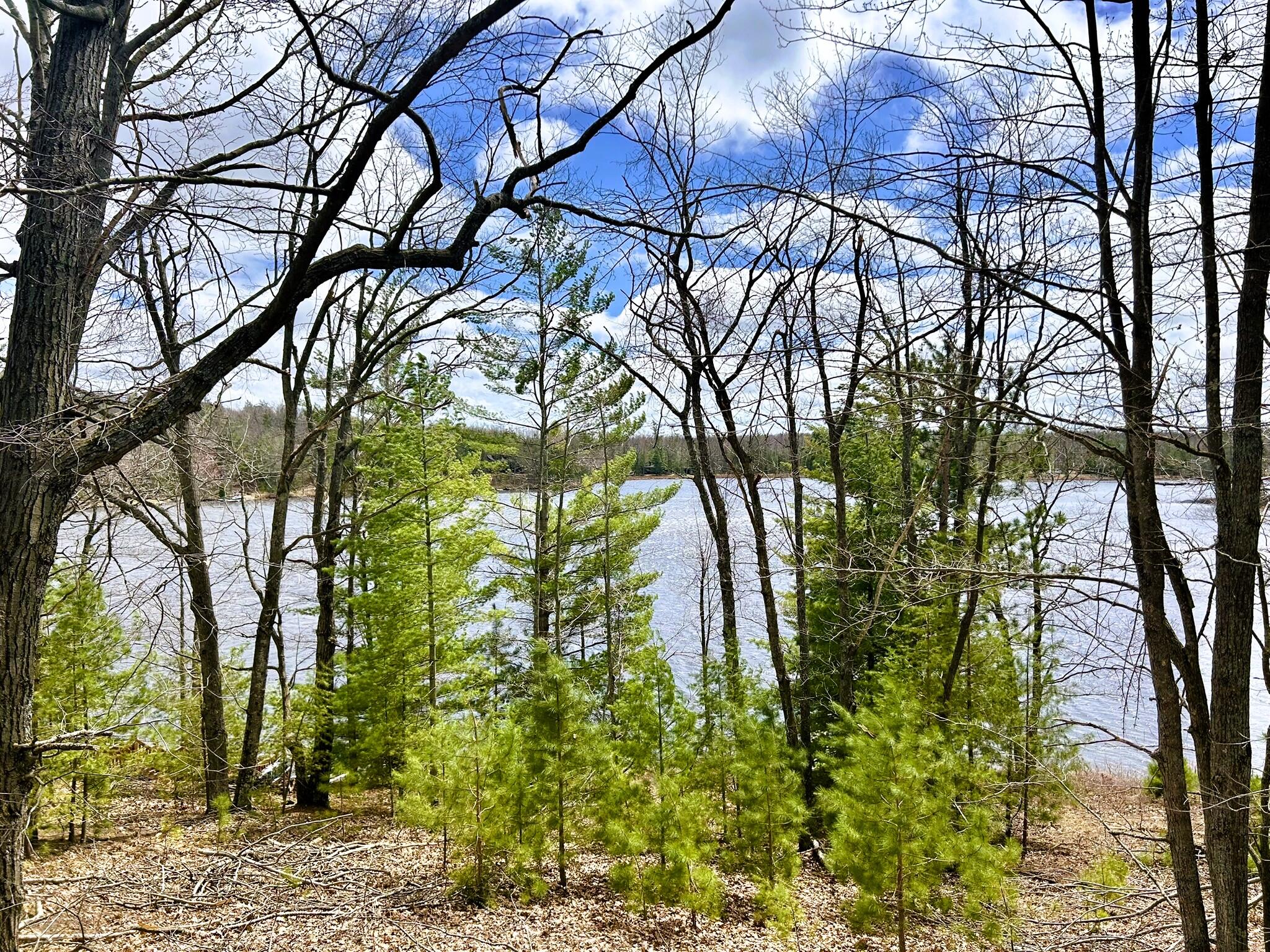 19831 Horseshoe Lake Drive