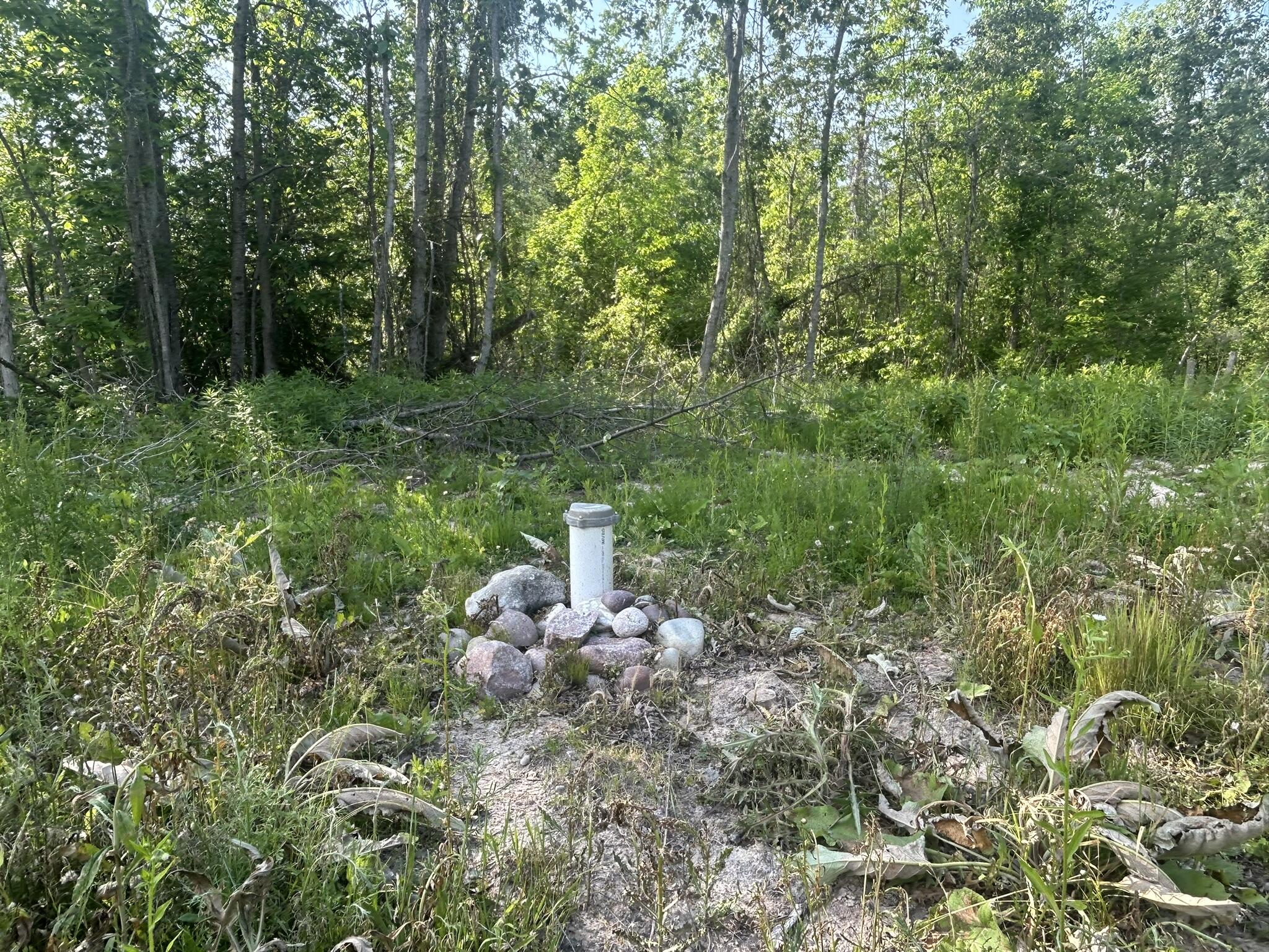 19526 McConnaughey Road