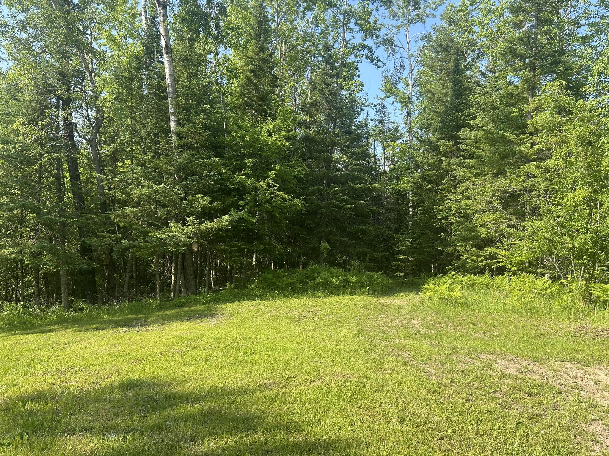 19526 McConnaughey Road