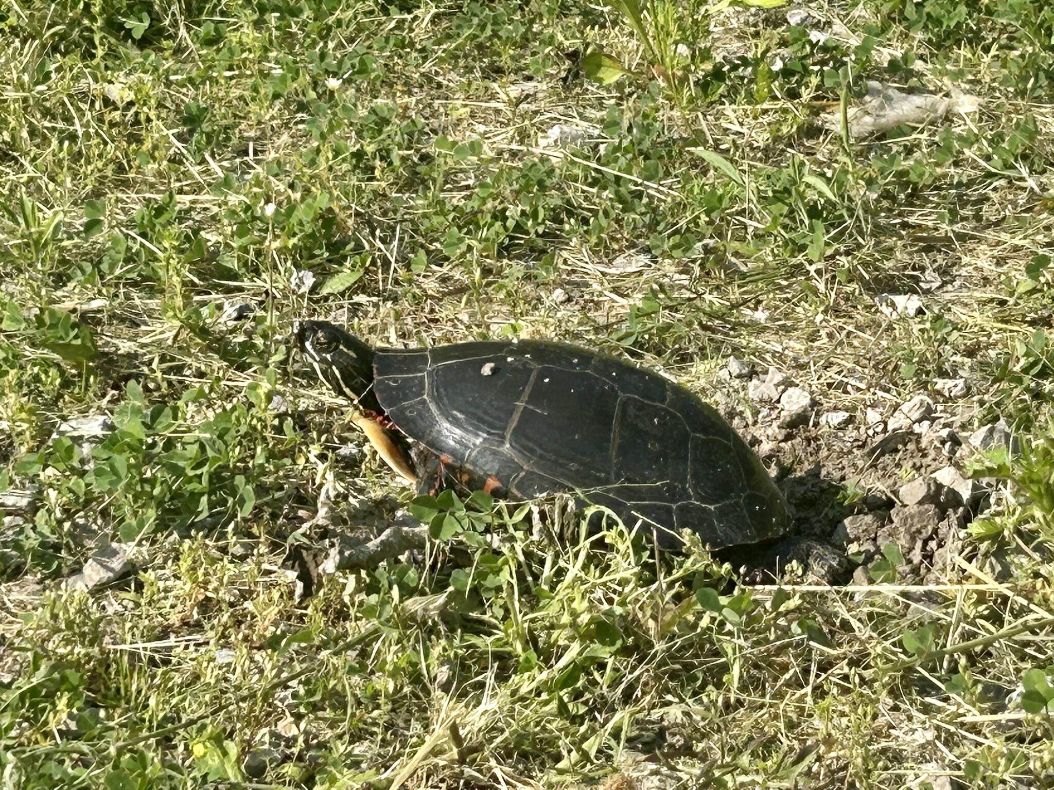 19526 McConnaughey Road