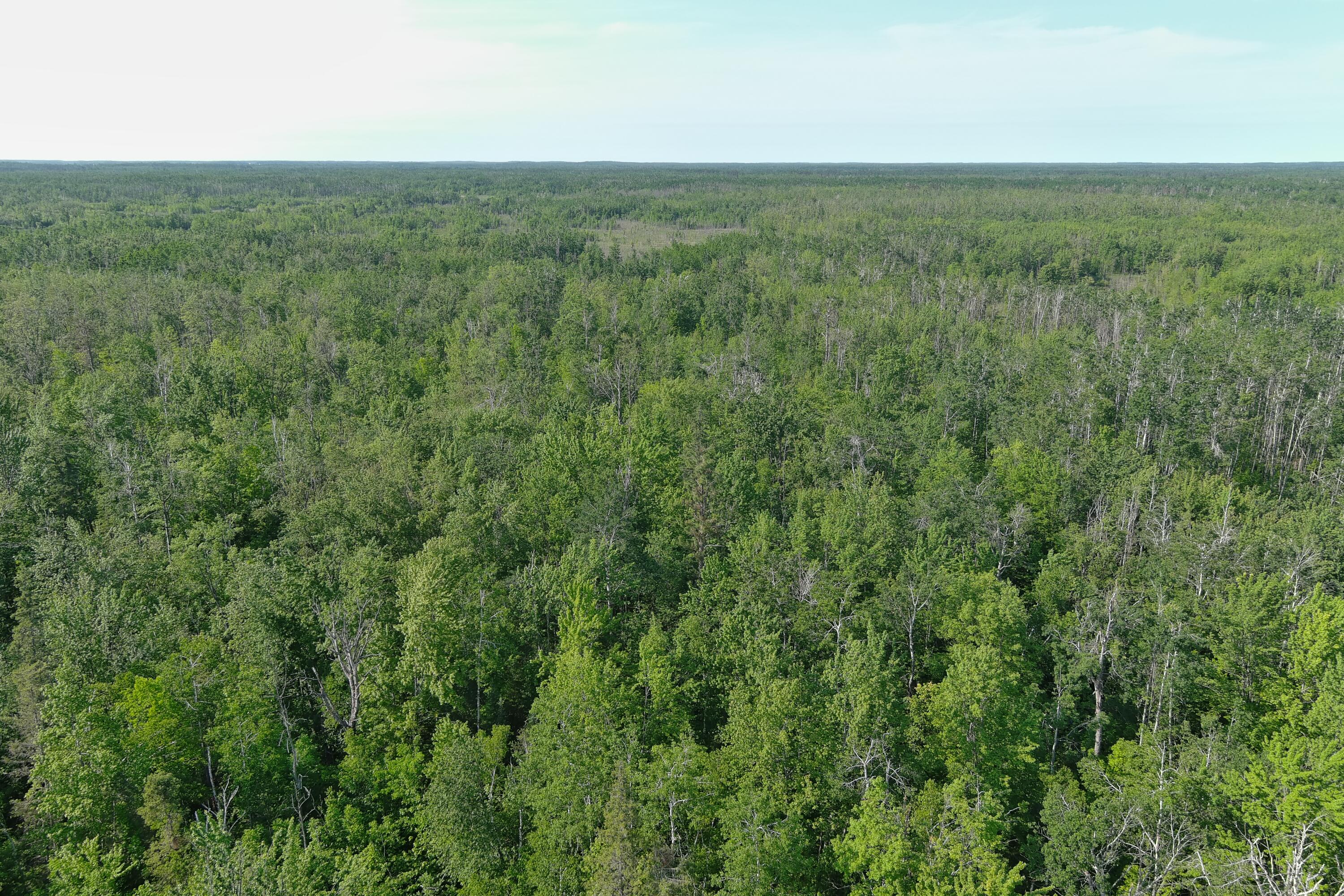 19526 McConnaughey Road