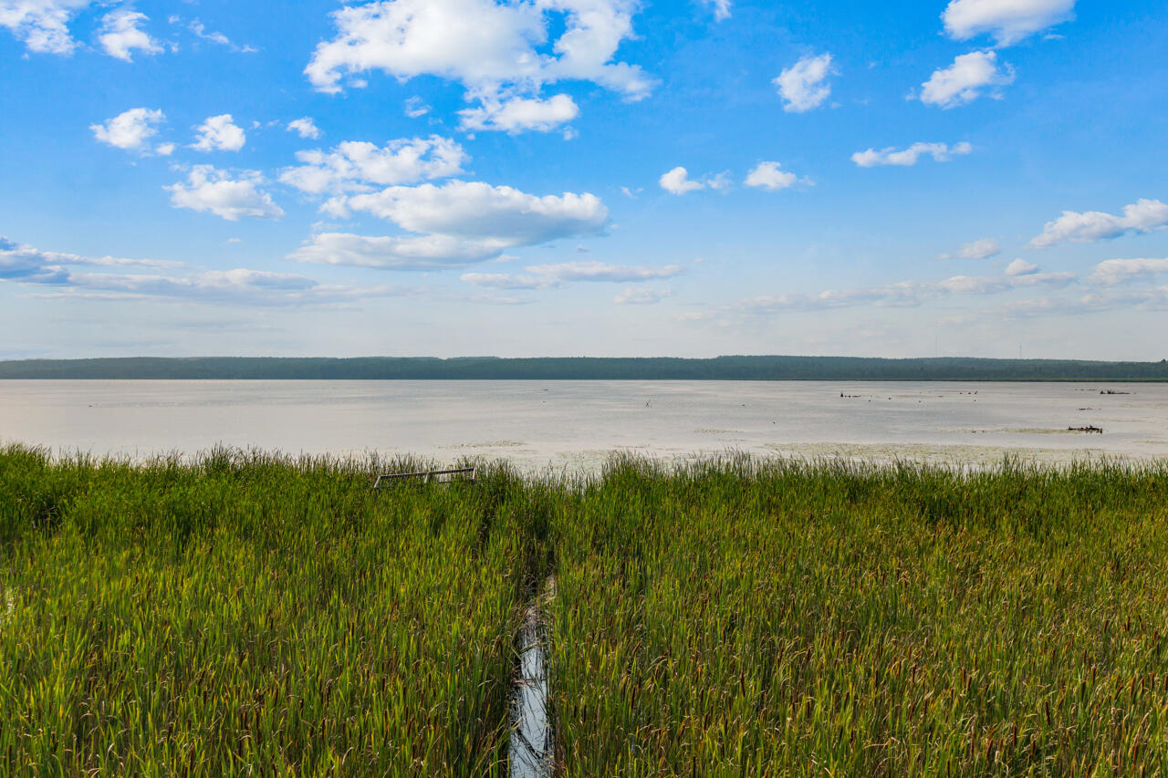 21100 Kiracofe Avenue