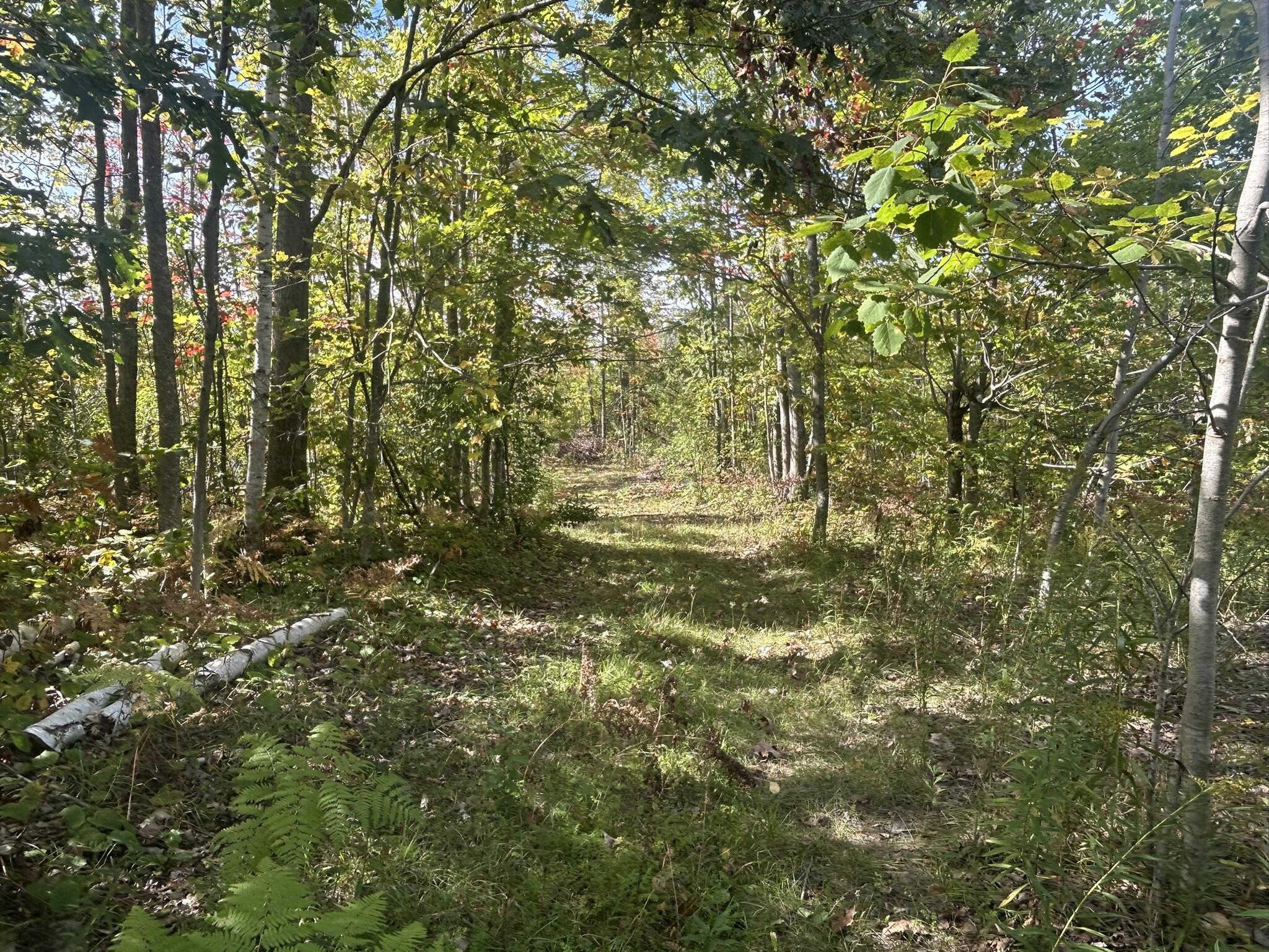 18150 Hardwood Trail