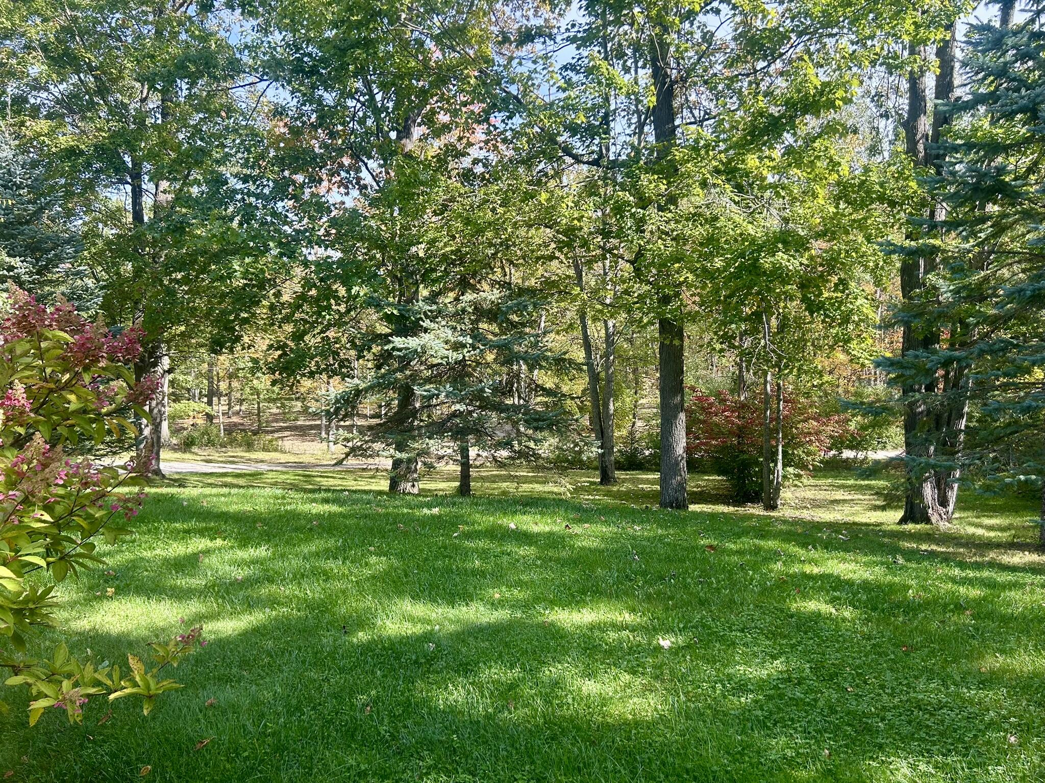 18150 Hardwood Trail