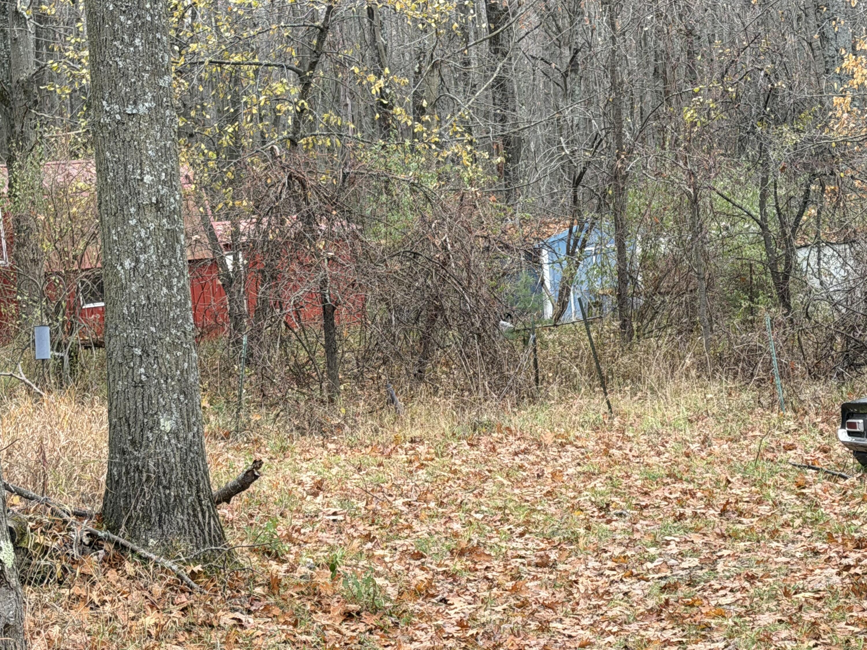 12180 Indian Reserve Road