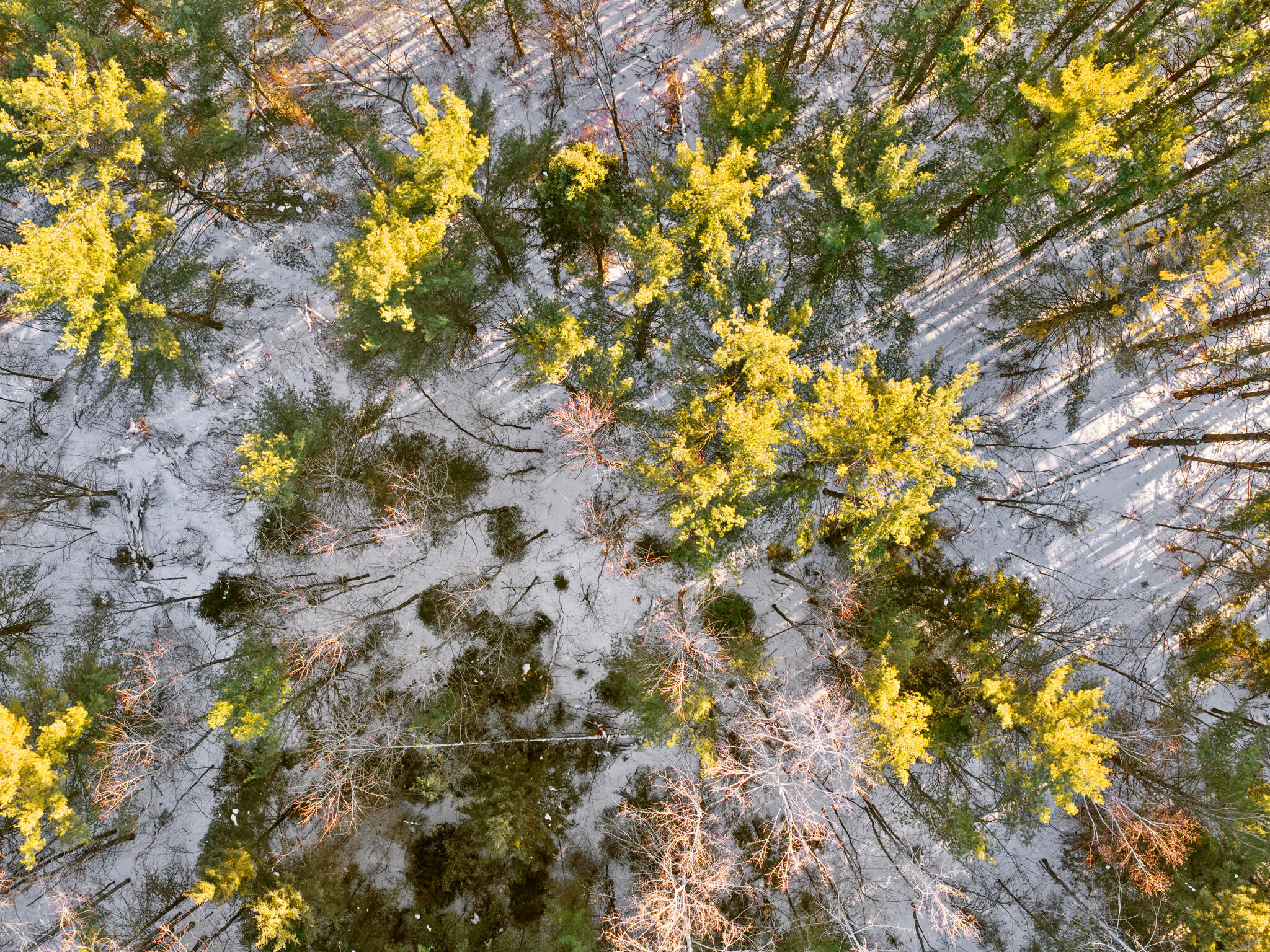 VL 2.02 AC Carrier Road, 2.02 acres