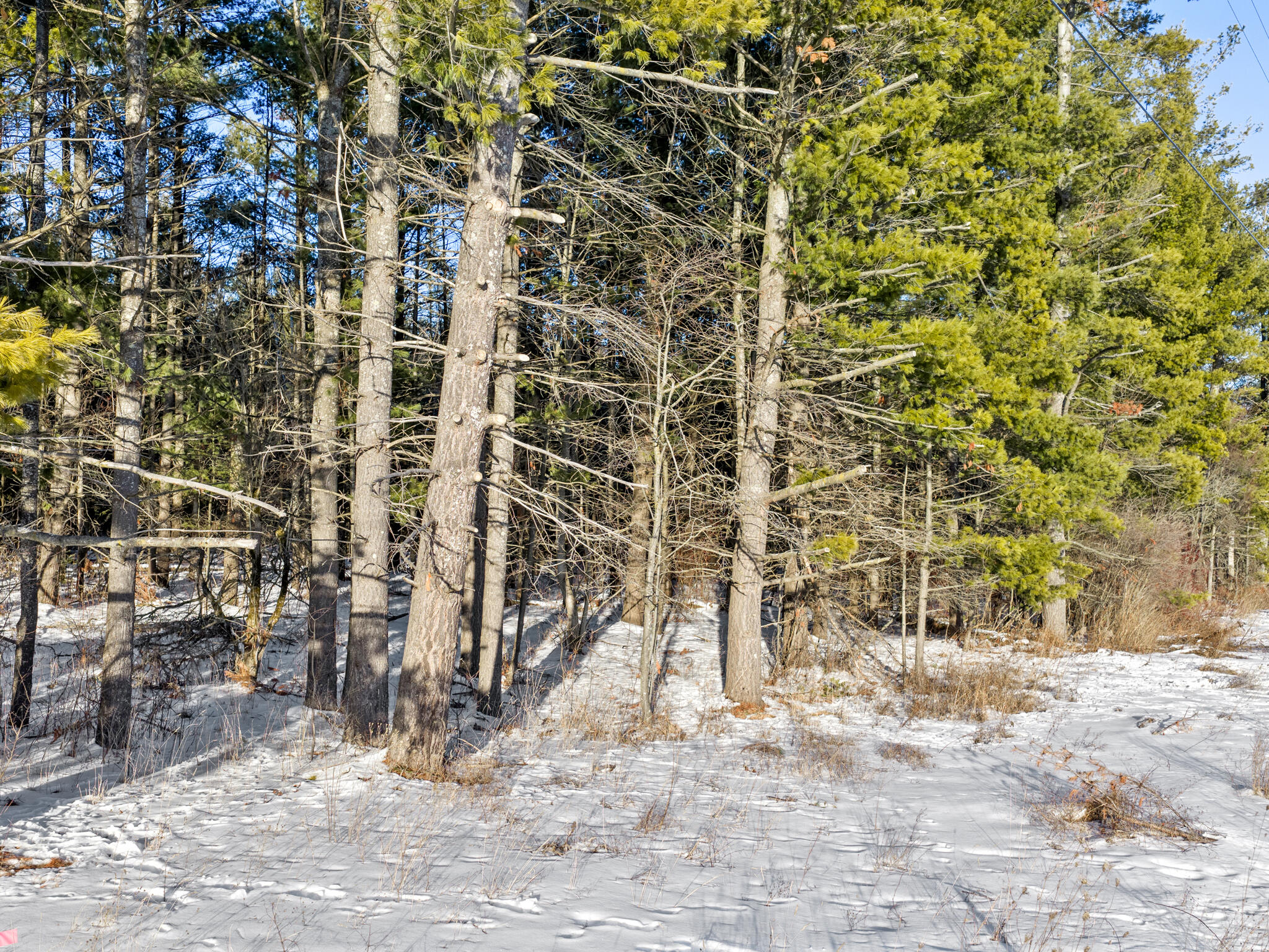 VL 2.02 AC Carrier Road, 2.02 acres