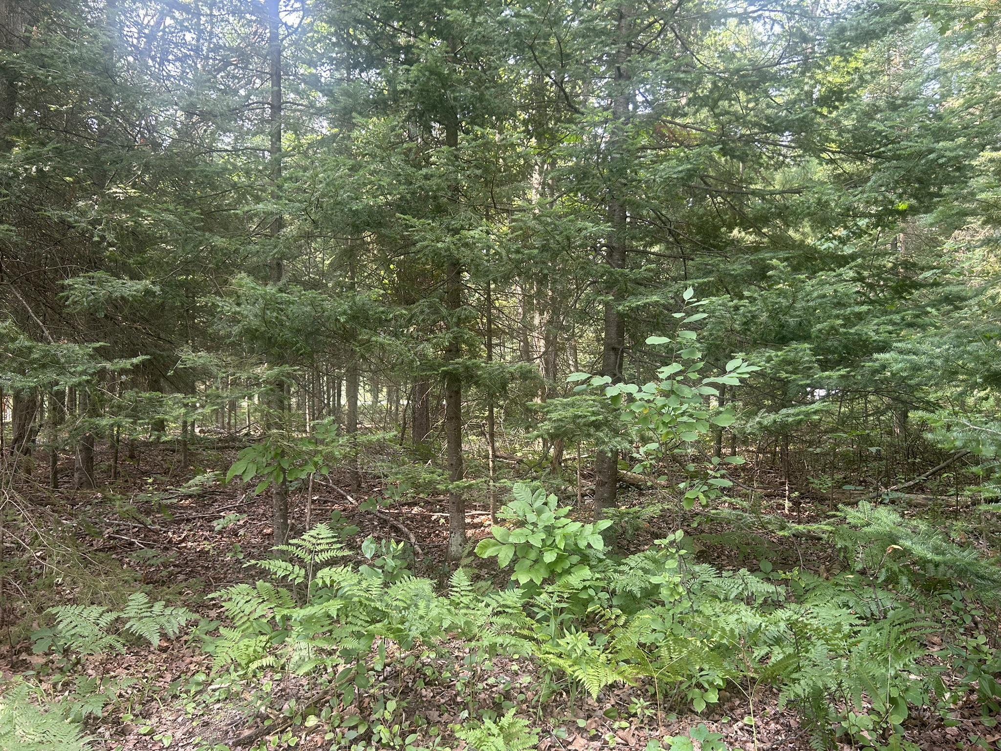 20935 E Riverside Drive, Lot 4