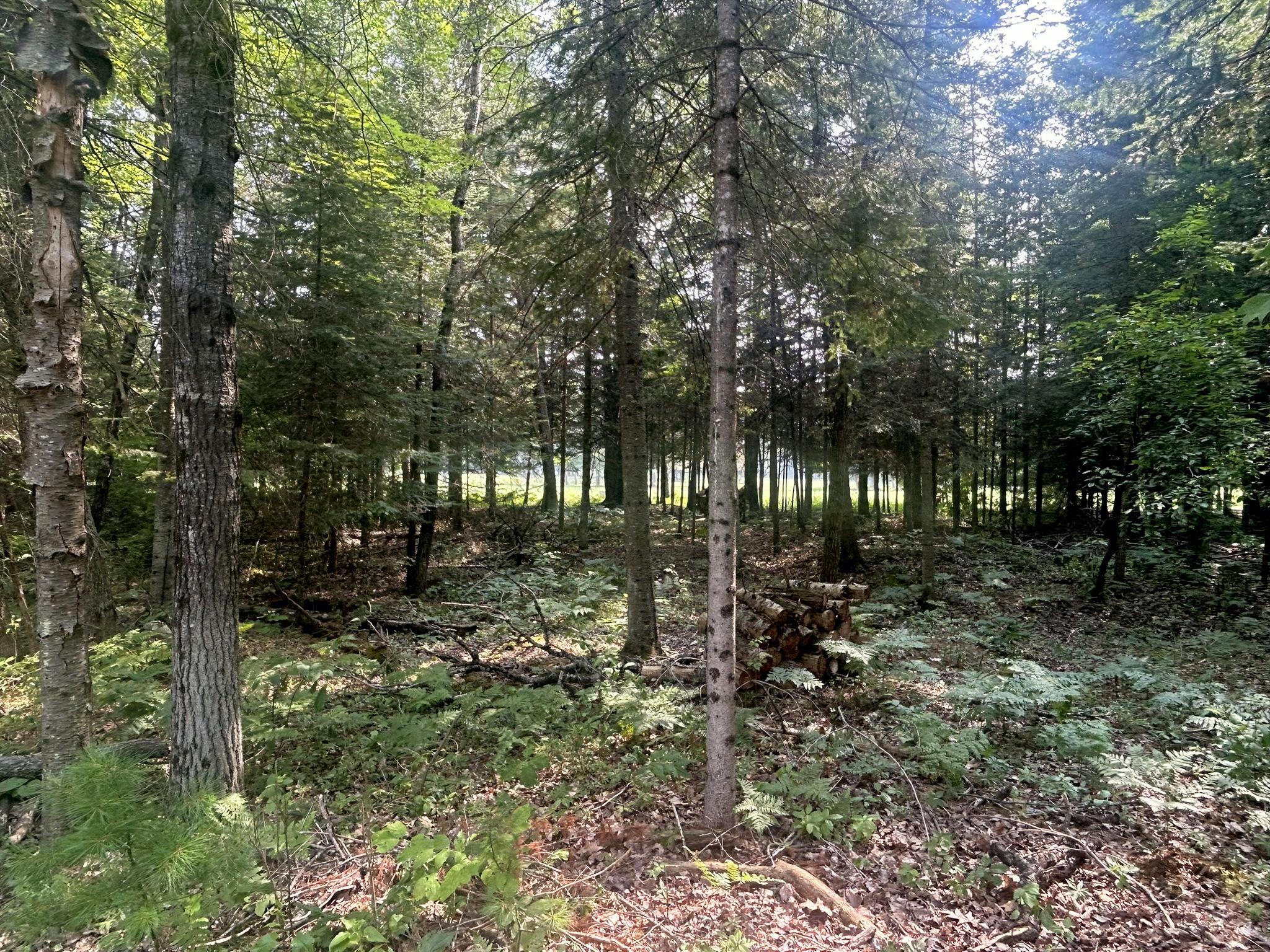 20935 E Riverside Drive, Lot 4