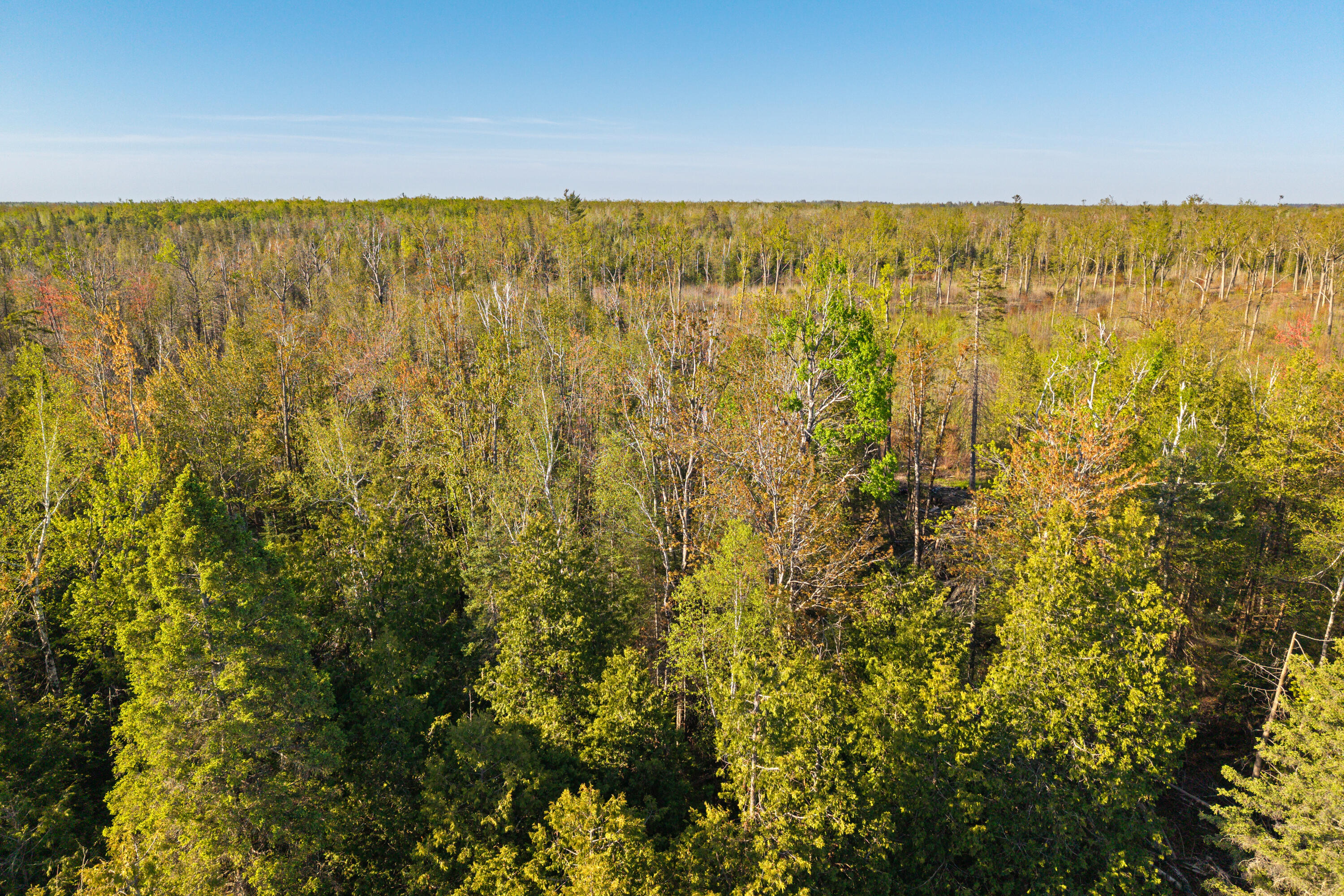 21950 County Road 628