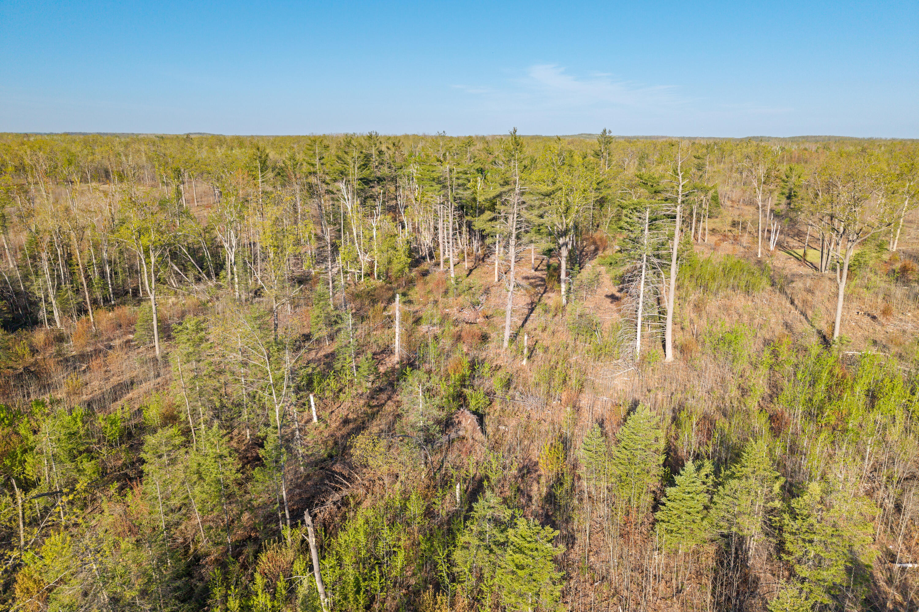 21950 County Road 628