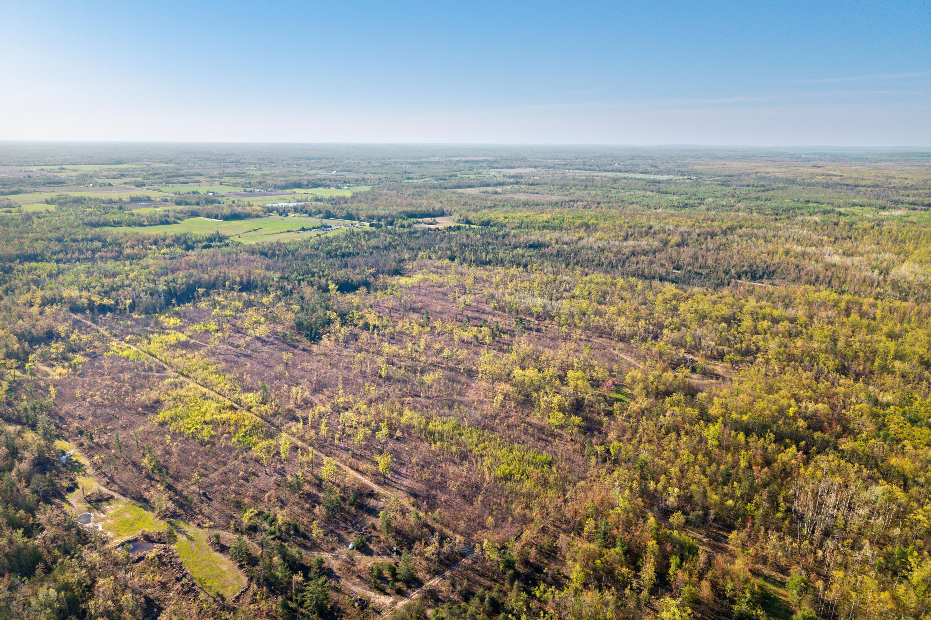 21950 County Road 628
