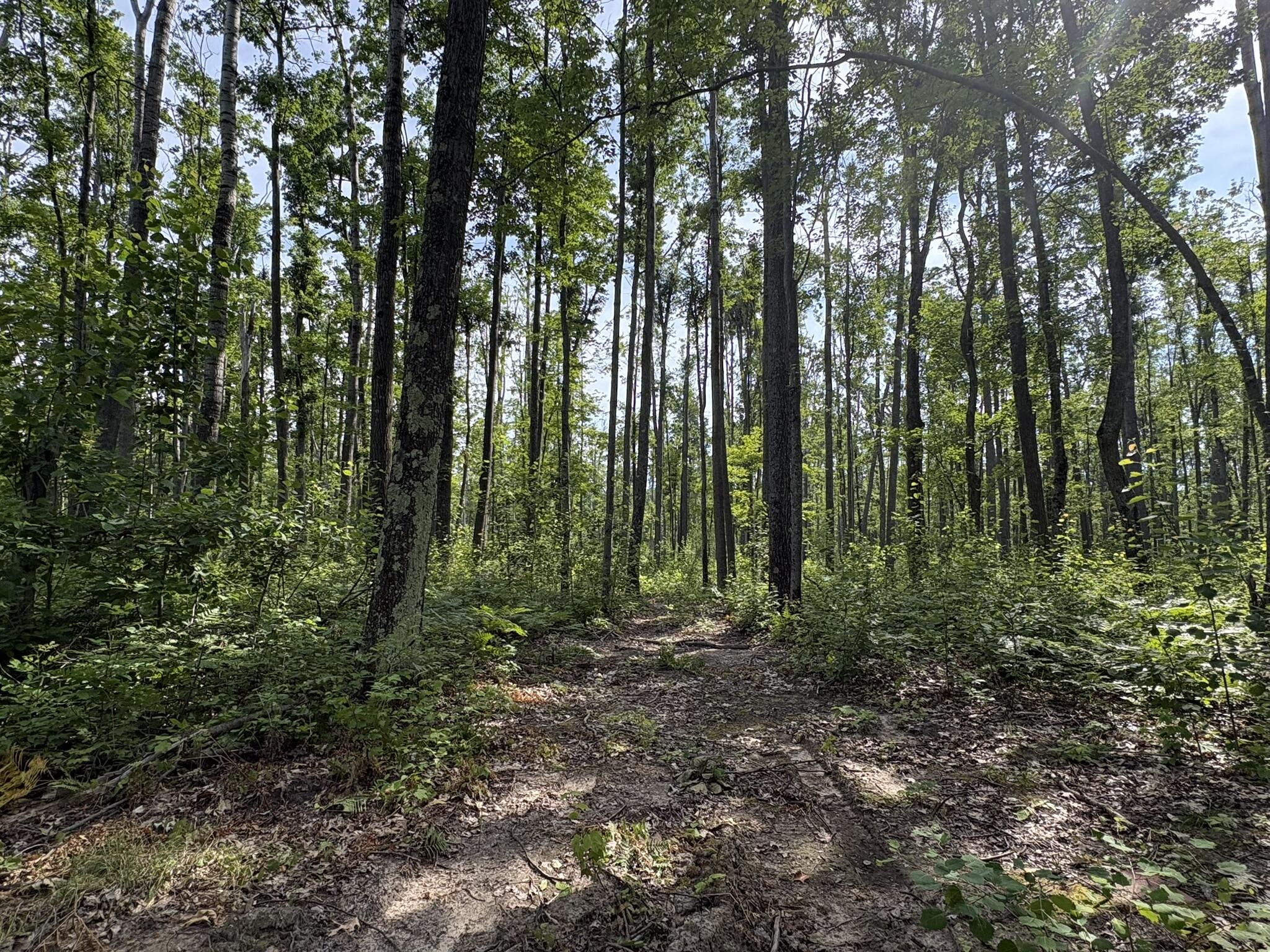 6885 Klein Road