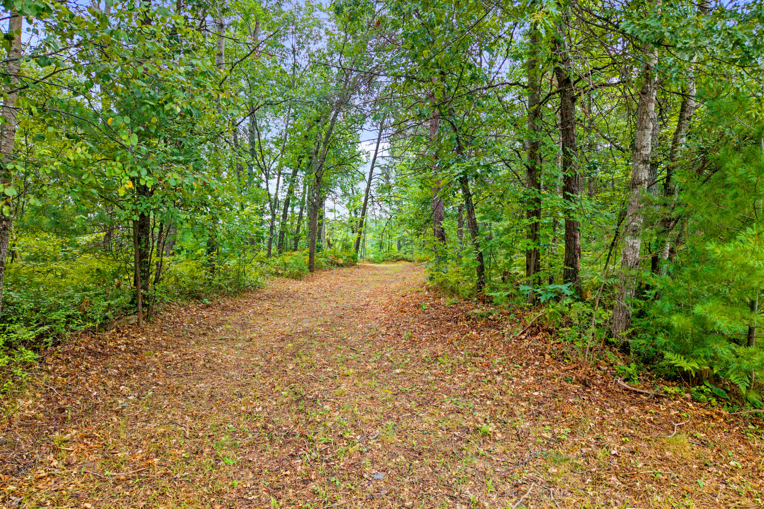 5338 Woodridge Road, 5344