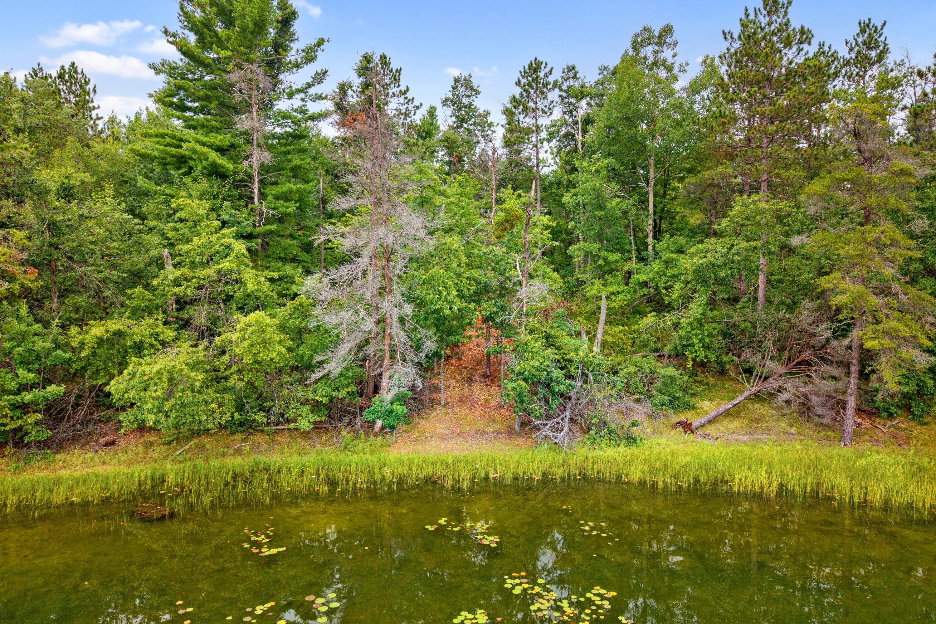 5338 Woodridge Road, 5344