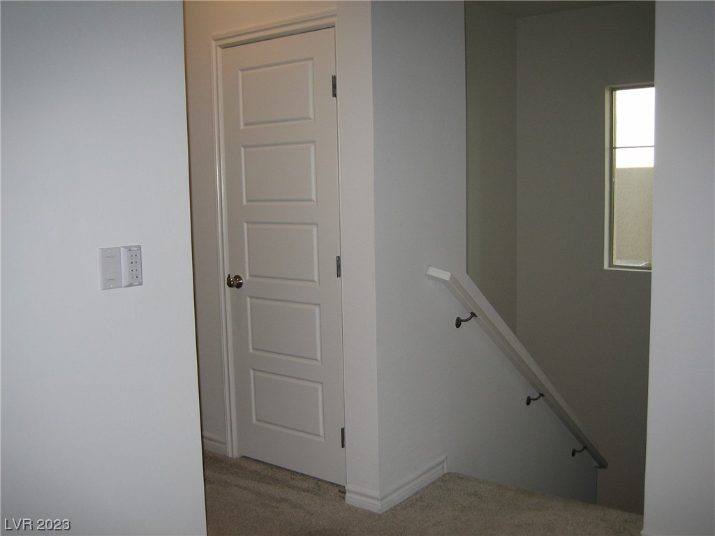 Carpeted stair landing with a white paneled door, wall-mounted handrail, and narrow window.
