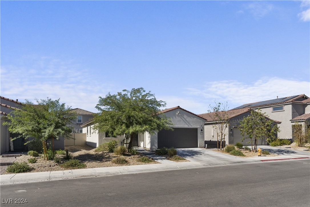 Single-story stucco home with a dark garage door and mature tree in the front yard.