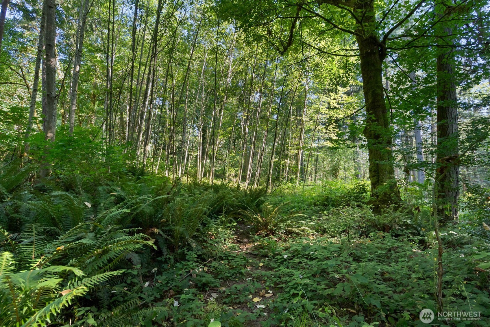 11111 Old Creosote Road