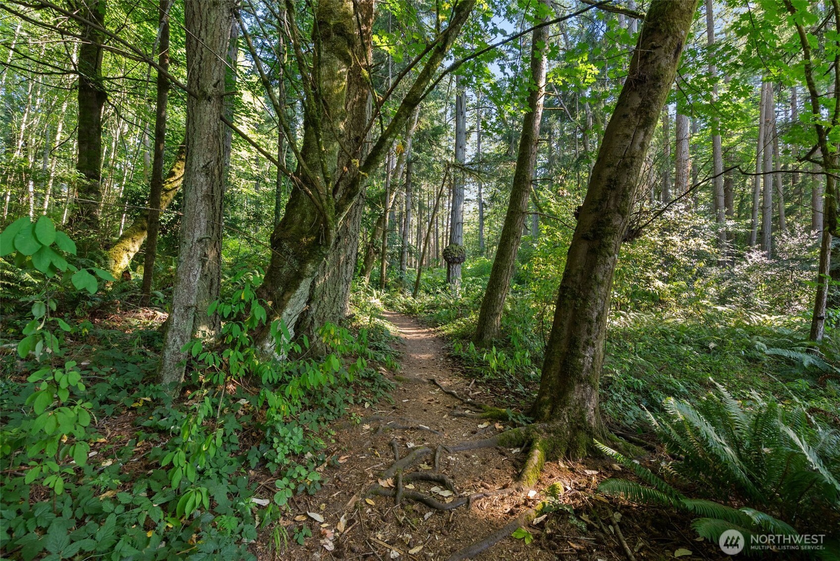 11111 Old Creosote Road