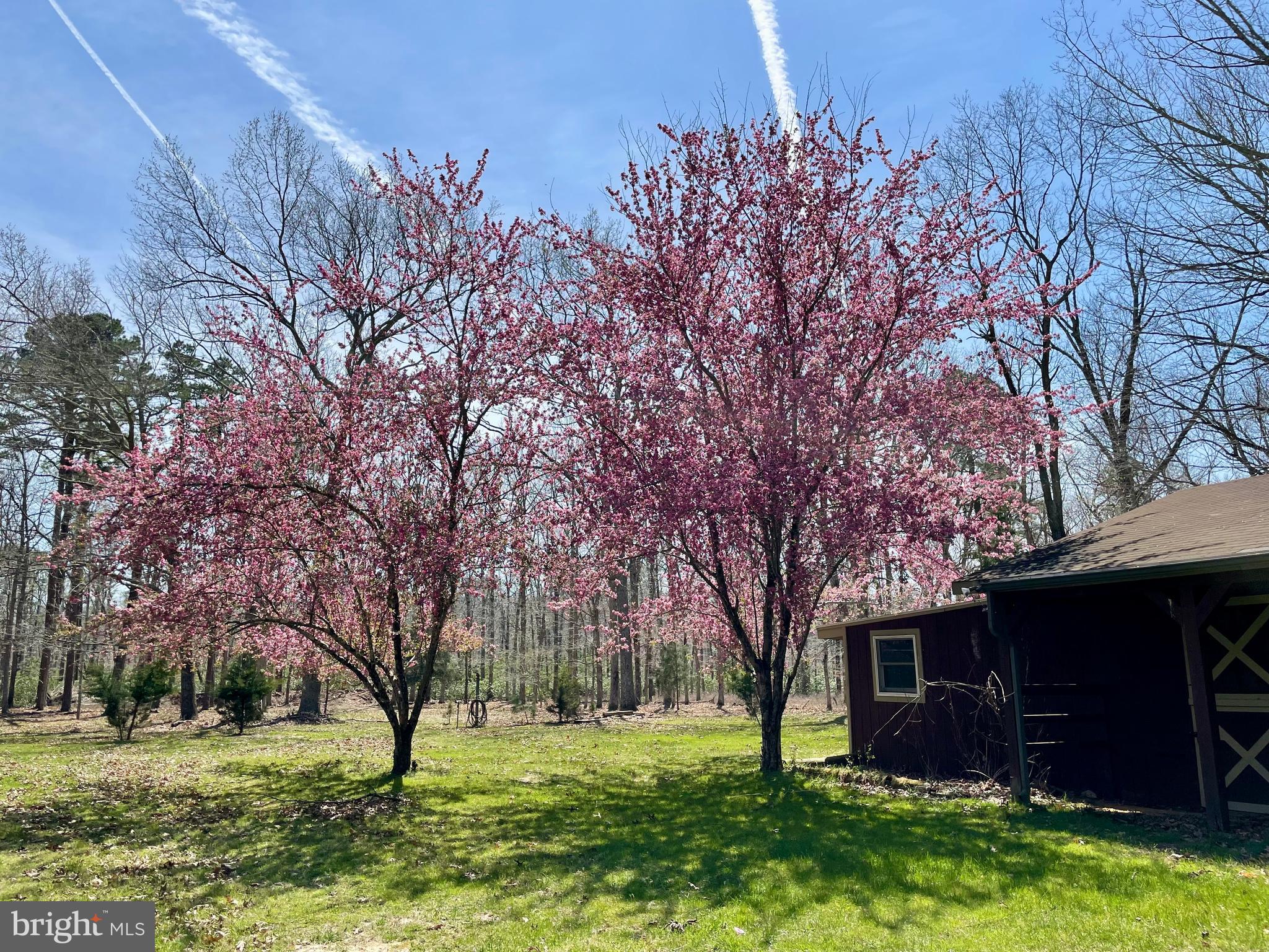 107 Cumberland Ave