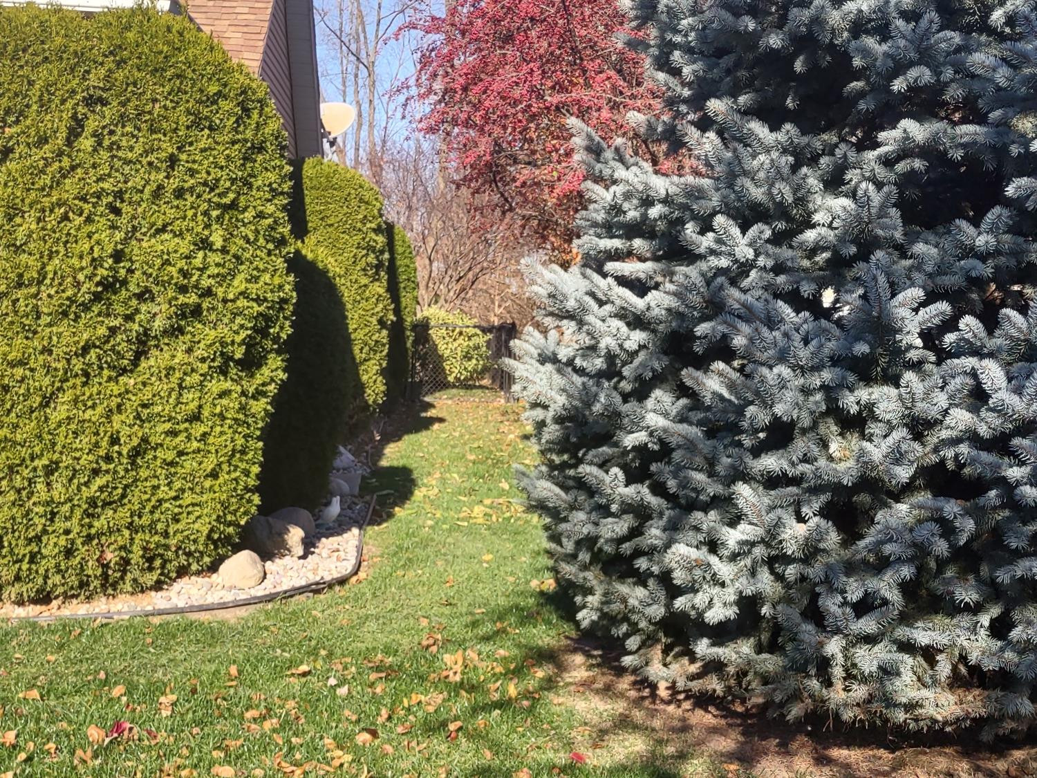 11987 W Cassandra Lane