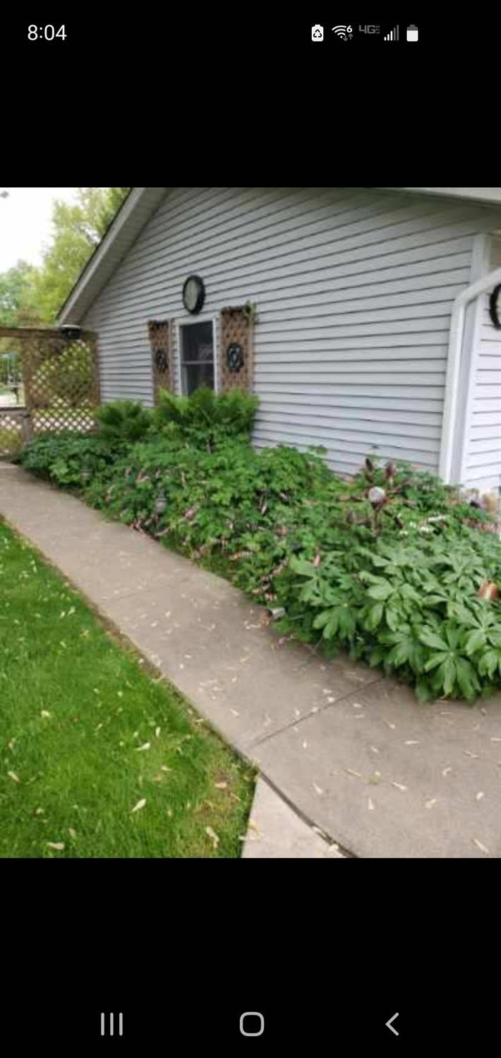 491 W Powell Drive
