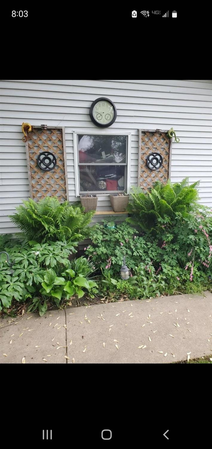 491 W Powell Drive