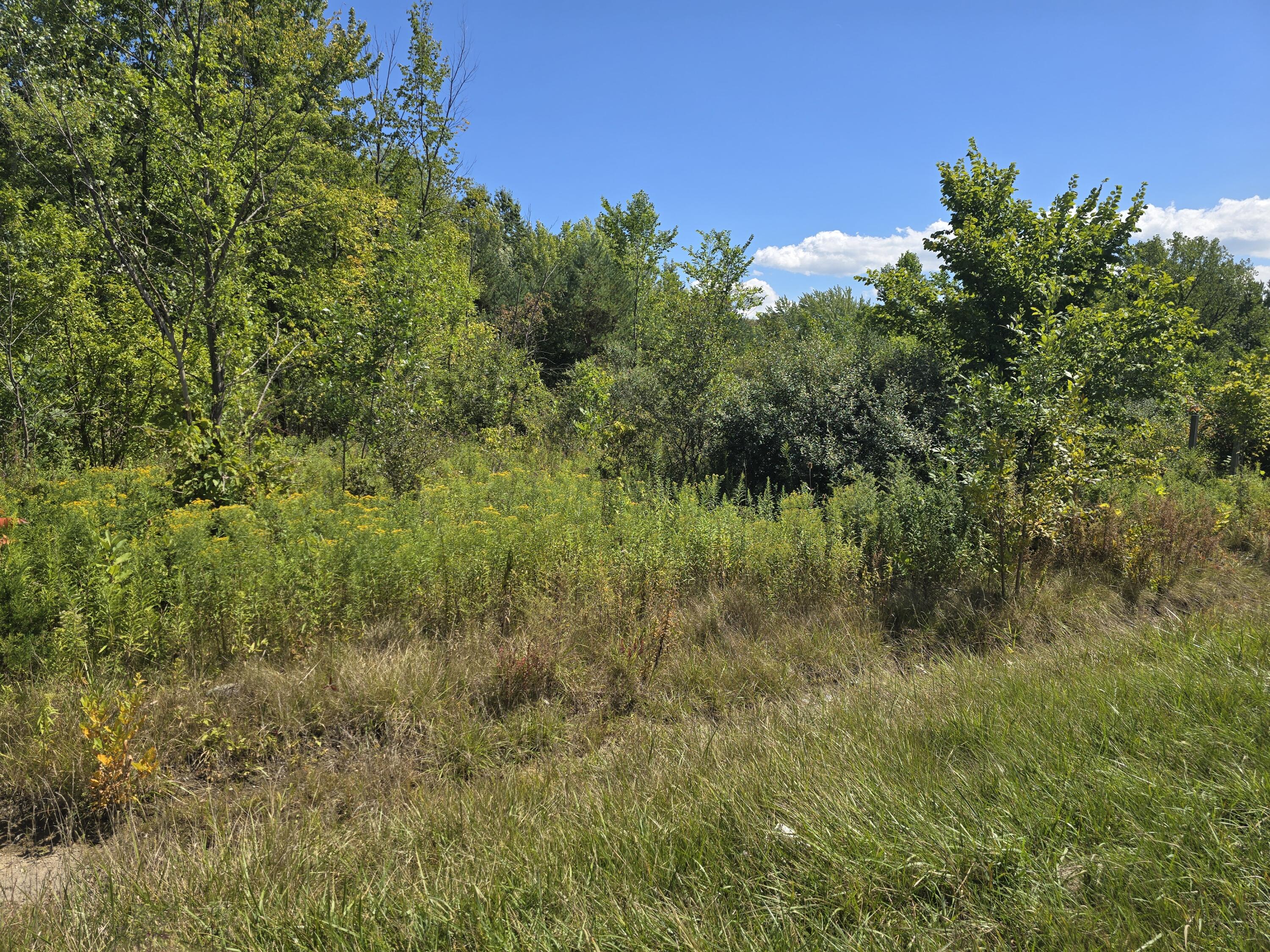 0 E Hwy 212