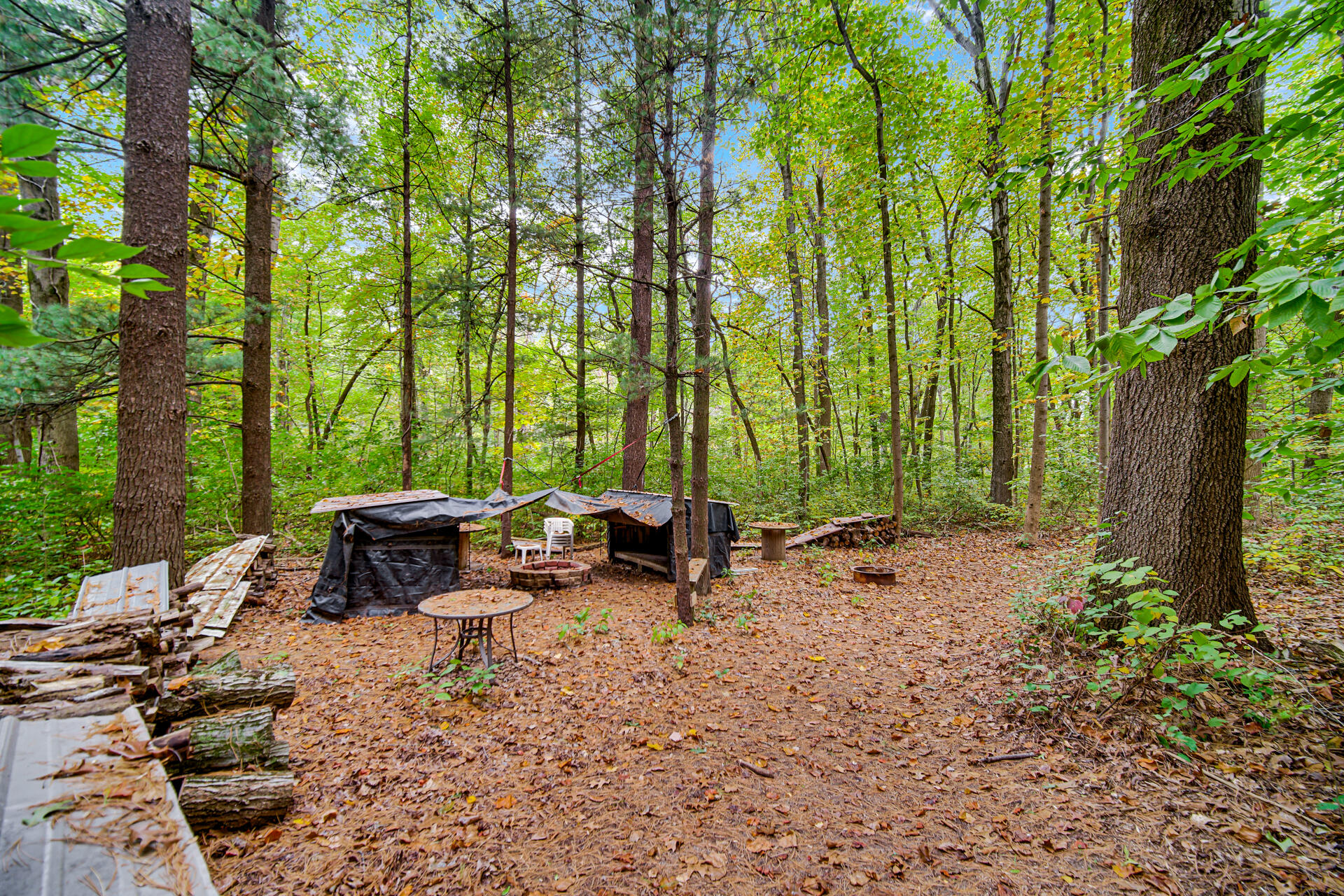 4079 W Schultz Road