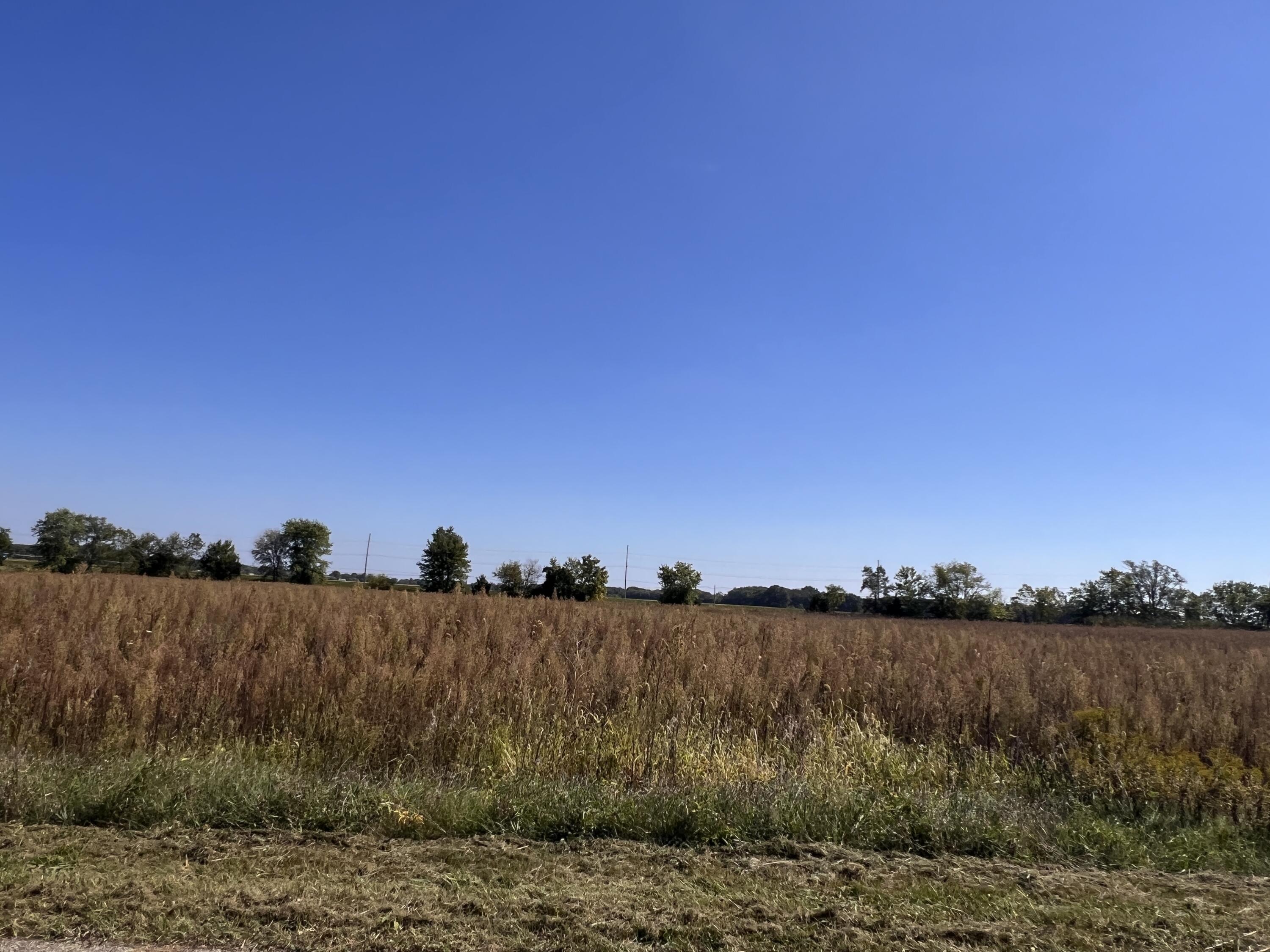 Lot 17 S Morgan Road